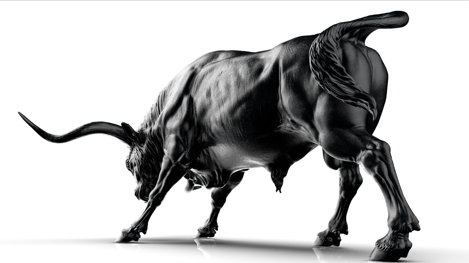 Bull - Texas Longhorn  I  3D Sculpting 3D print model_27