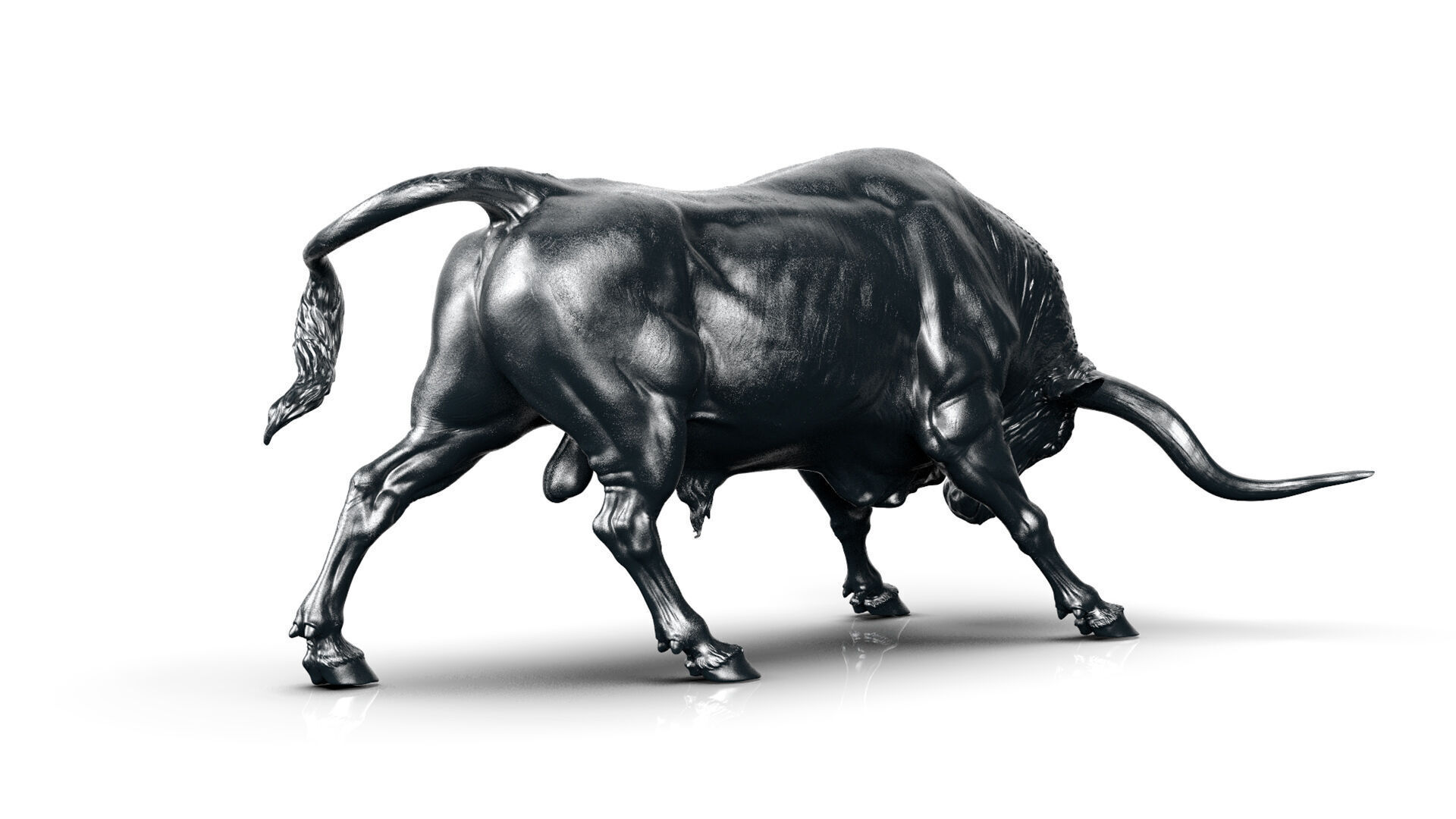 Bull - Texas Longhorn  I  3D Sculpting 3D print model_21