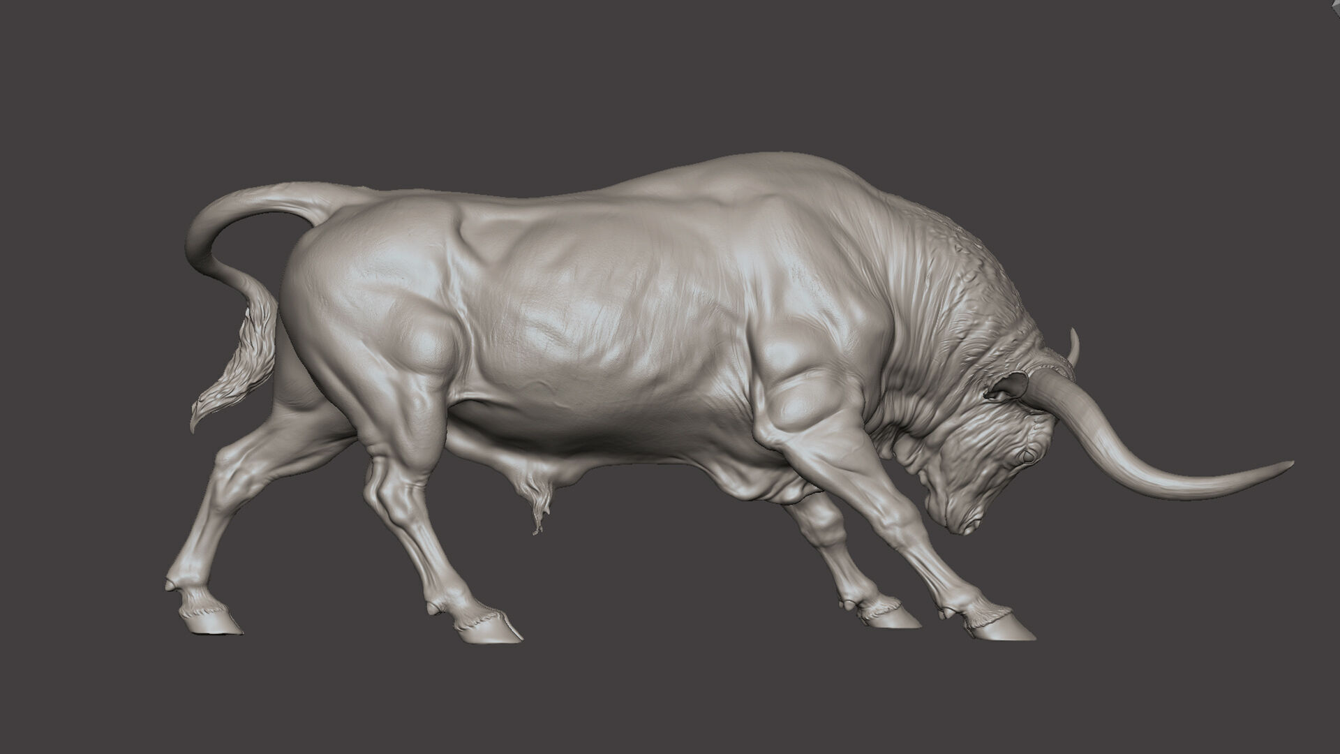 Bull - Texas Longhorn  I  3D Sculpting 3D print model_29