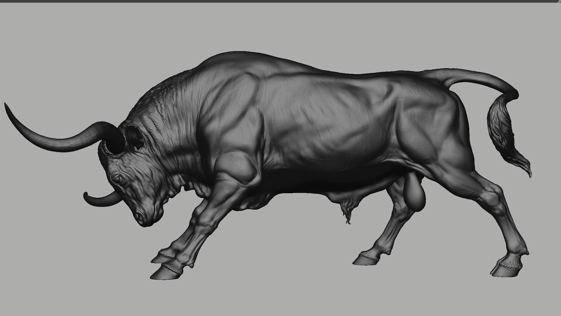 Bull - Texas Longhorn  I  3D Sculpting 3D print model_31