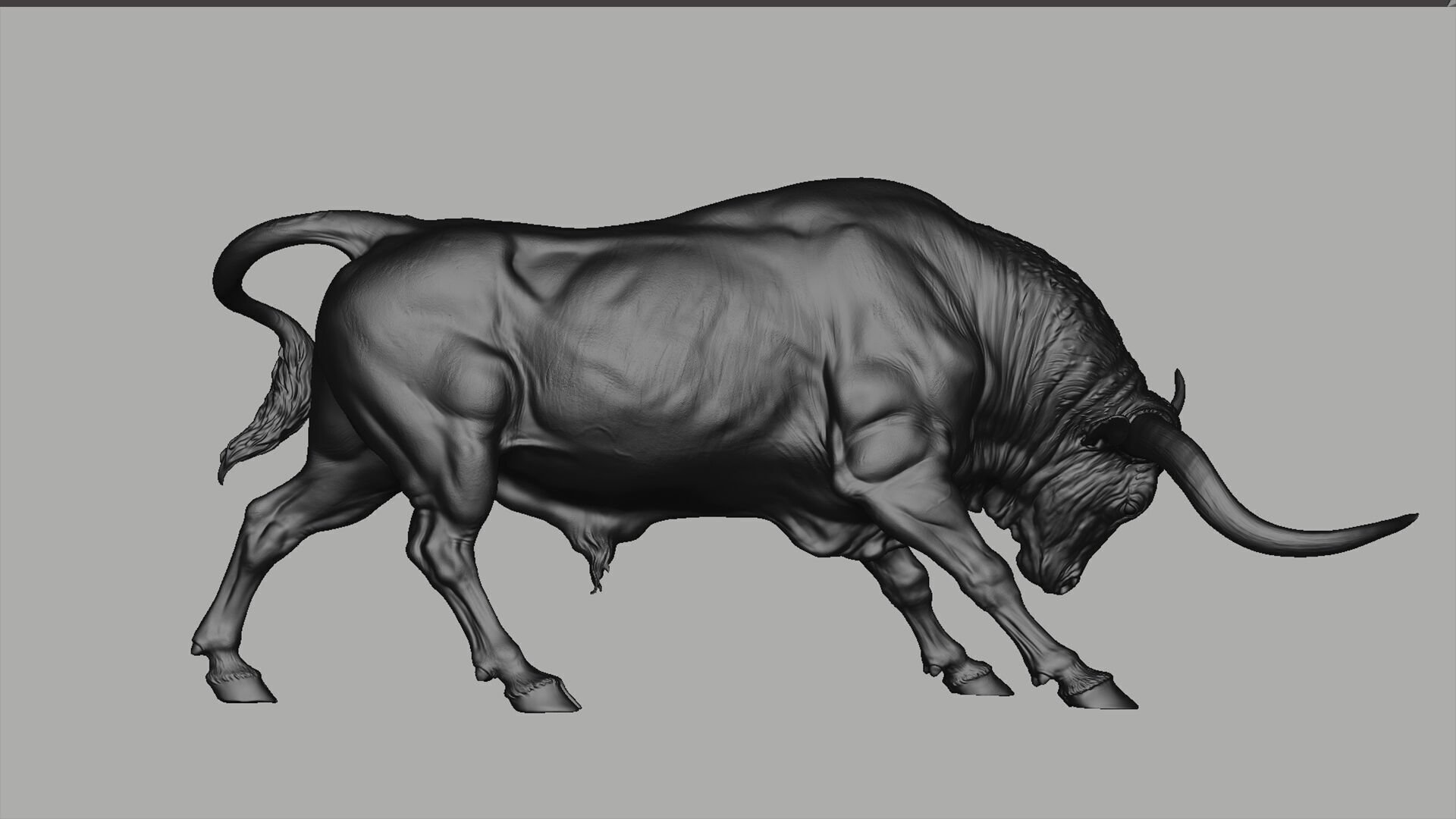 Bull - Texas Longhorn  I  3D Sculpting 3D print model_30