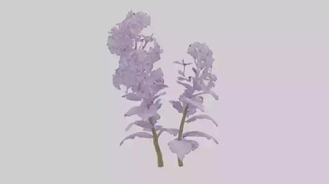 Lilac and Tree model