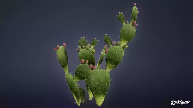 FOLIAGE - Prickly Pear 01 - LOW POLY