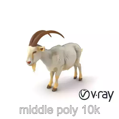 White Mountain Goat with Curved Horns 3D Model Pack Low-poly 3D model
