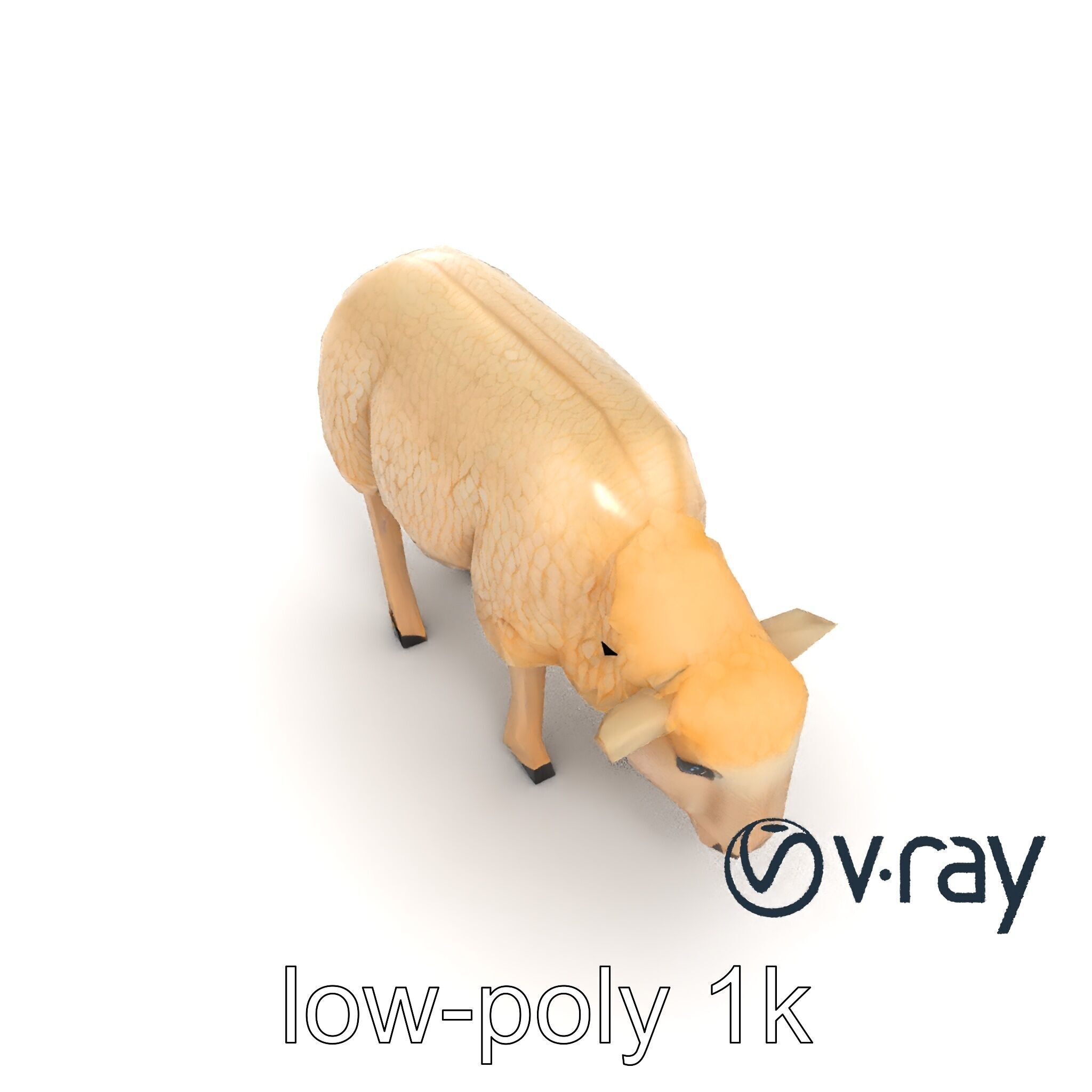 Pastoral Sheep Grazing Stance 3D Model Pack Low-poly 3D model_20