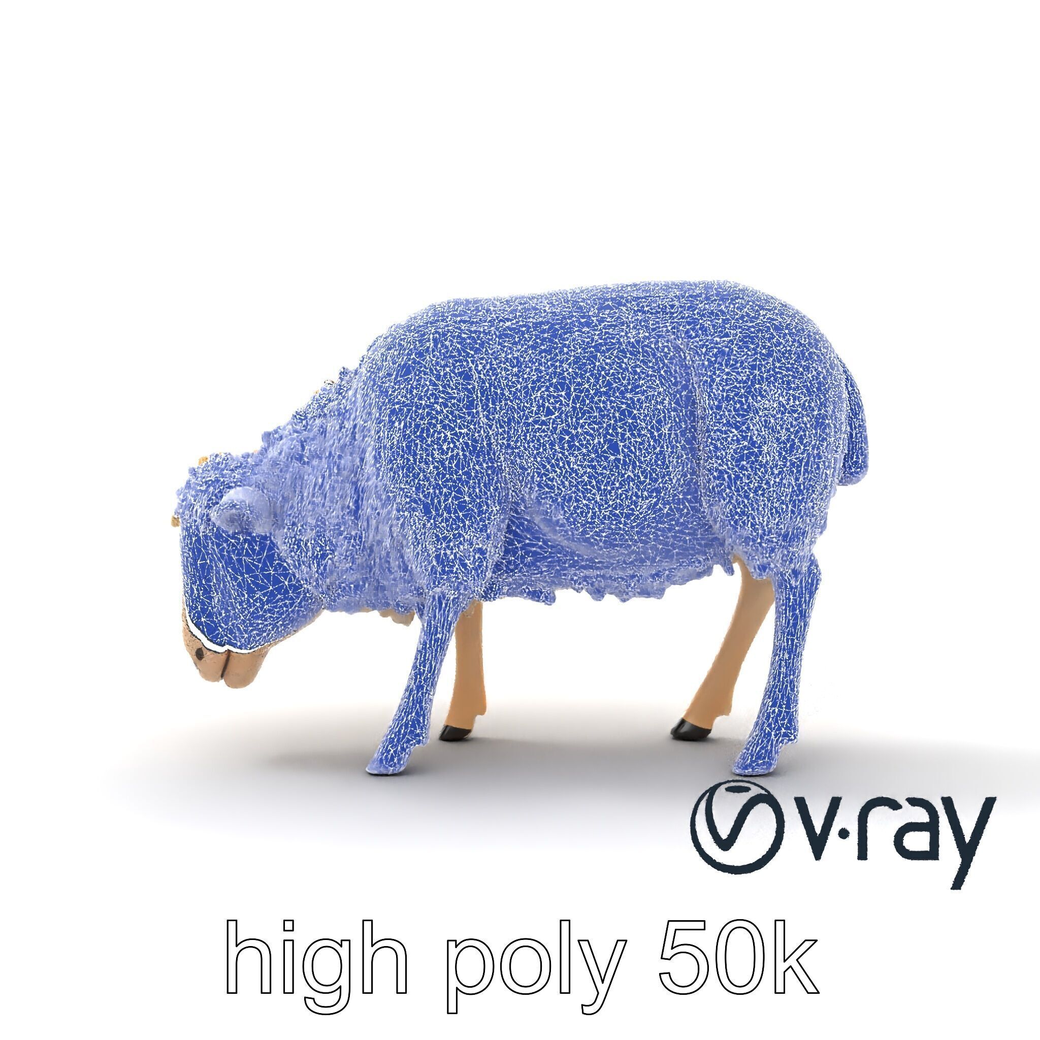 Pastoral Sheep Grazing Stance 3D Model Pack Low-poly 3D model_29