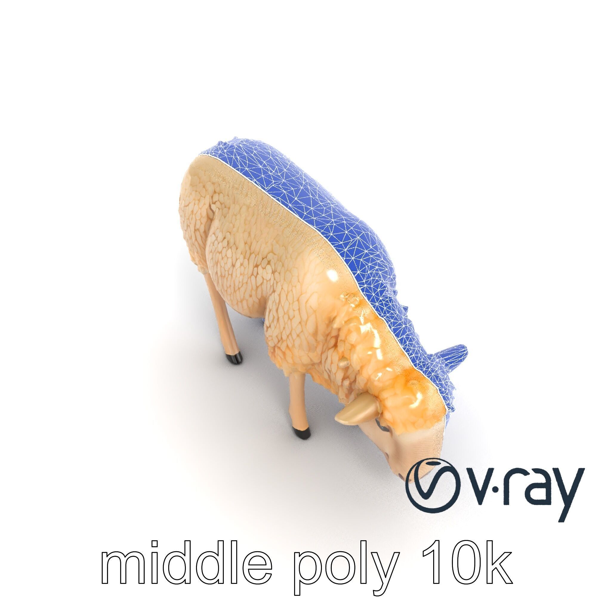 Pastoral Sheep Grazing Stance 3D Model Pack Low-poly 3D model_28