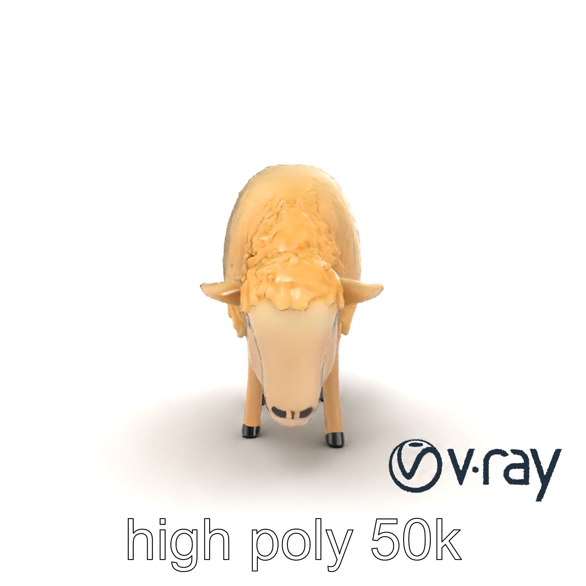 Pastoral Sheep Grazing Stance 3D Model Pack Low-poly 3D model_12