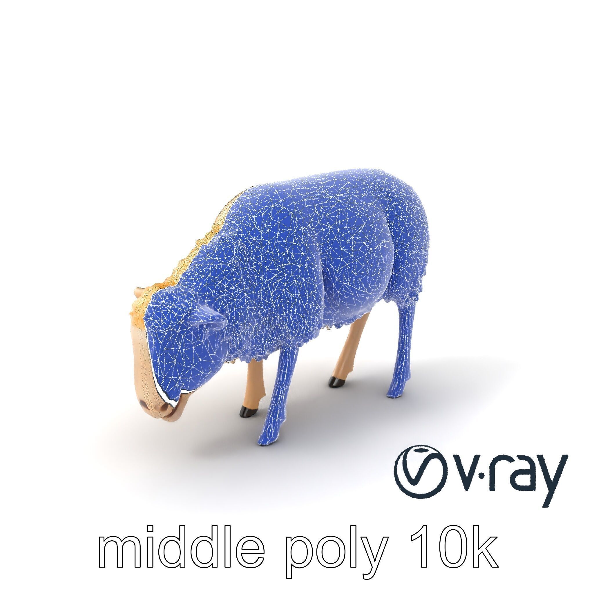 Pastoral Sheep Grazing Stance 3D Model Pack Low-poly 3D model_30