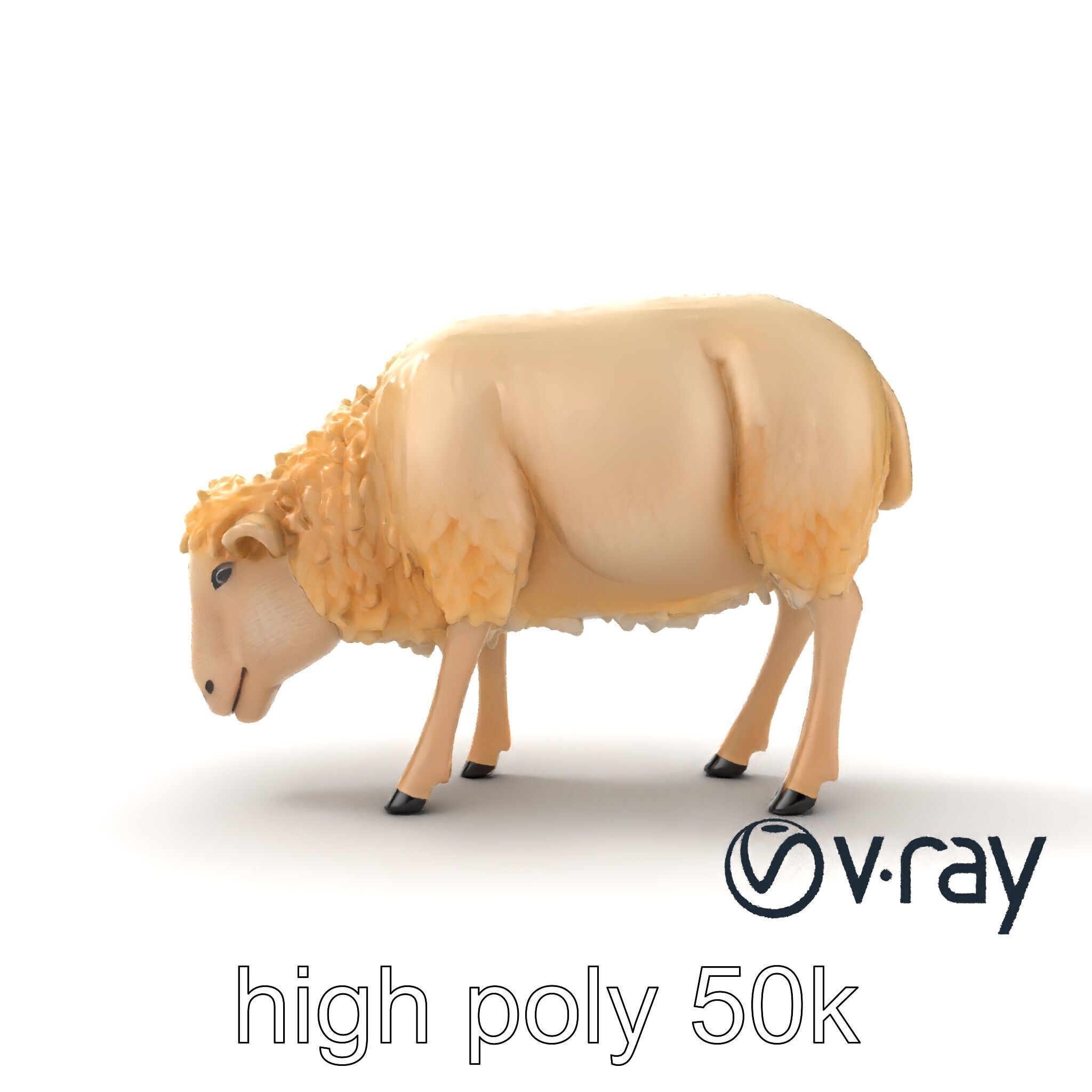 Pastoral Sheep Grazing Stance 3D Model Pack Low-poly 3D model_18