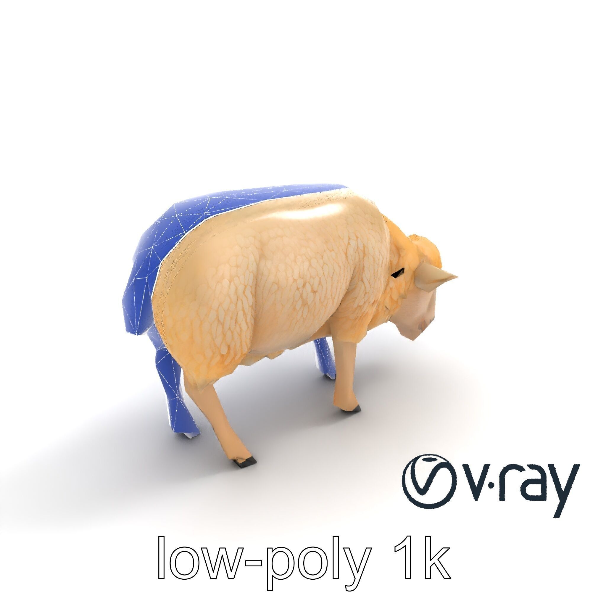 Pastoral Sheep Grazing Stance 3D Model Pack Low-poly 3D model_10
