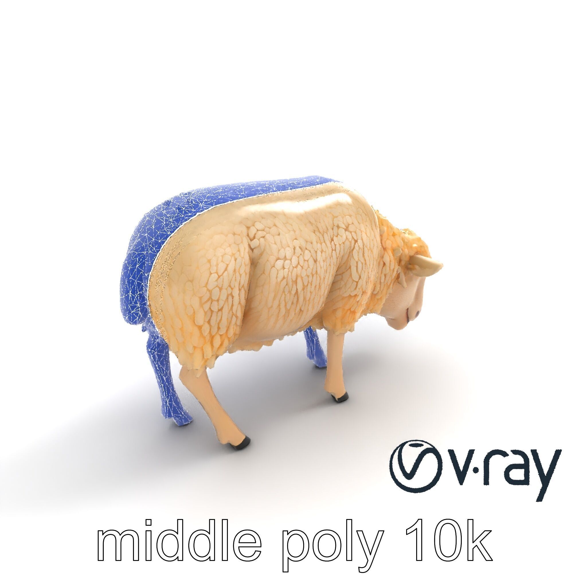 Pastoral Sheep Grazing Stance 3D Model Pack Low-poly 3D model_21