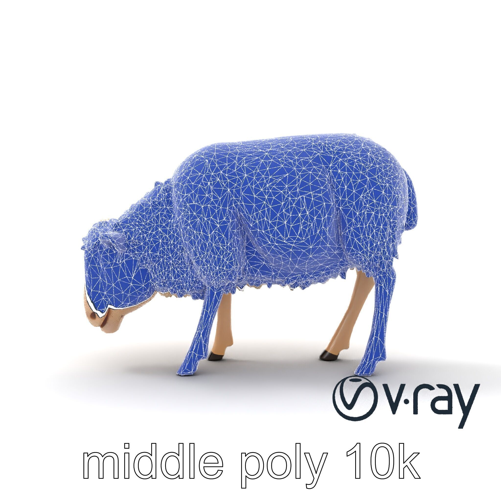 Pastoral Sheep Grazing Stance 3D Model Pack Low-poly 3D model_13