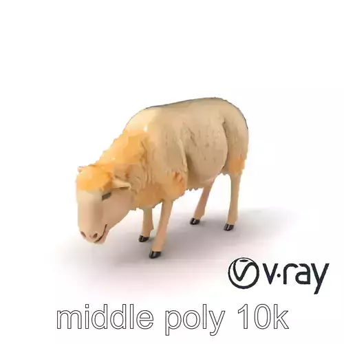 Pastoral Sheep Grazing Stance 3D Model Pack Low-poly 3D model