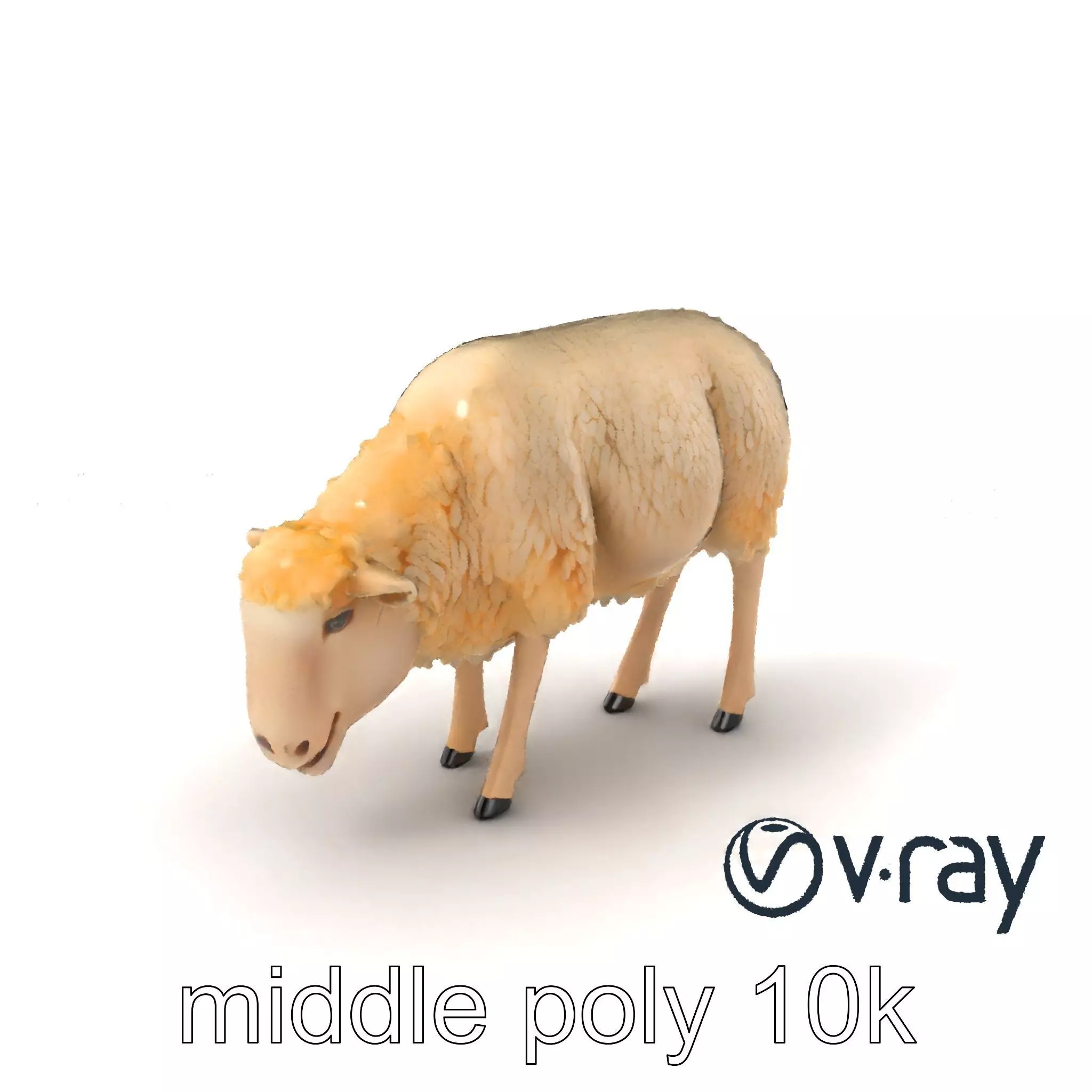 Pastoral Sheep Grazing Stance 3D Model Pack Low-poly 3D model_0