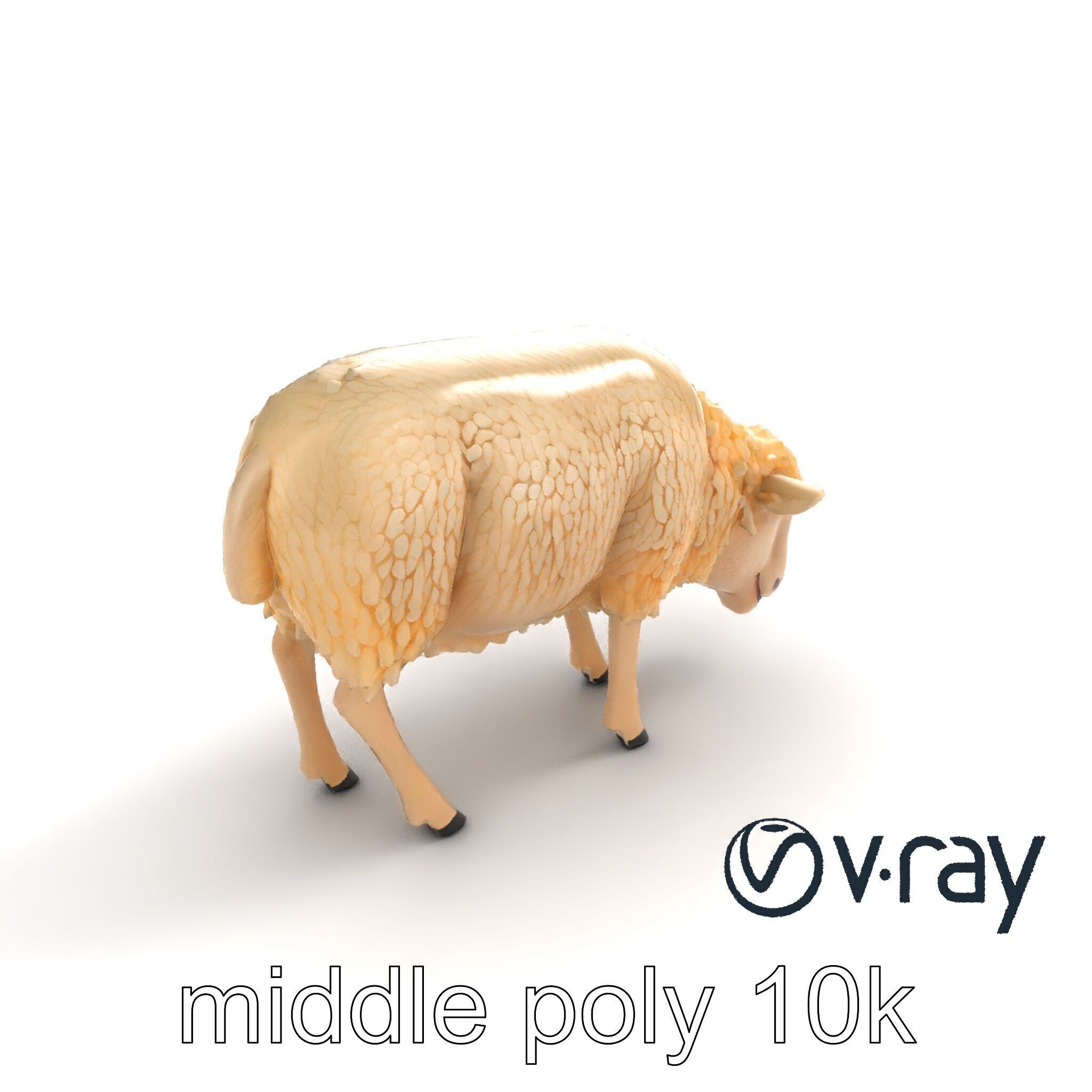 Pastoral Sheep Grazing Stance 3D Model Pack Low-poly 3D model_4