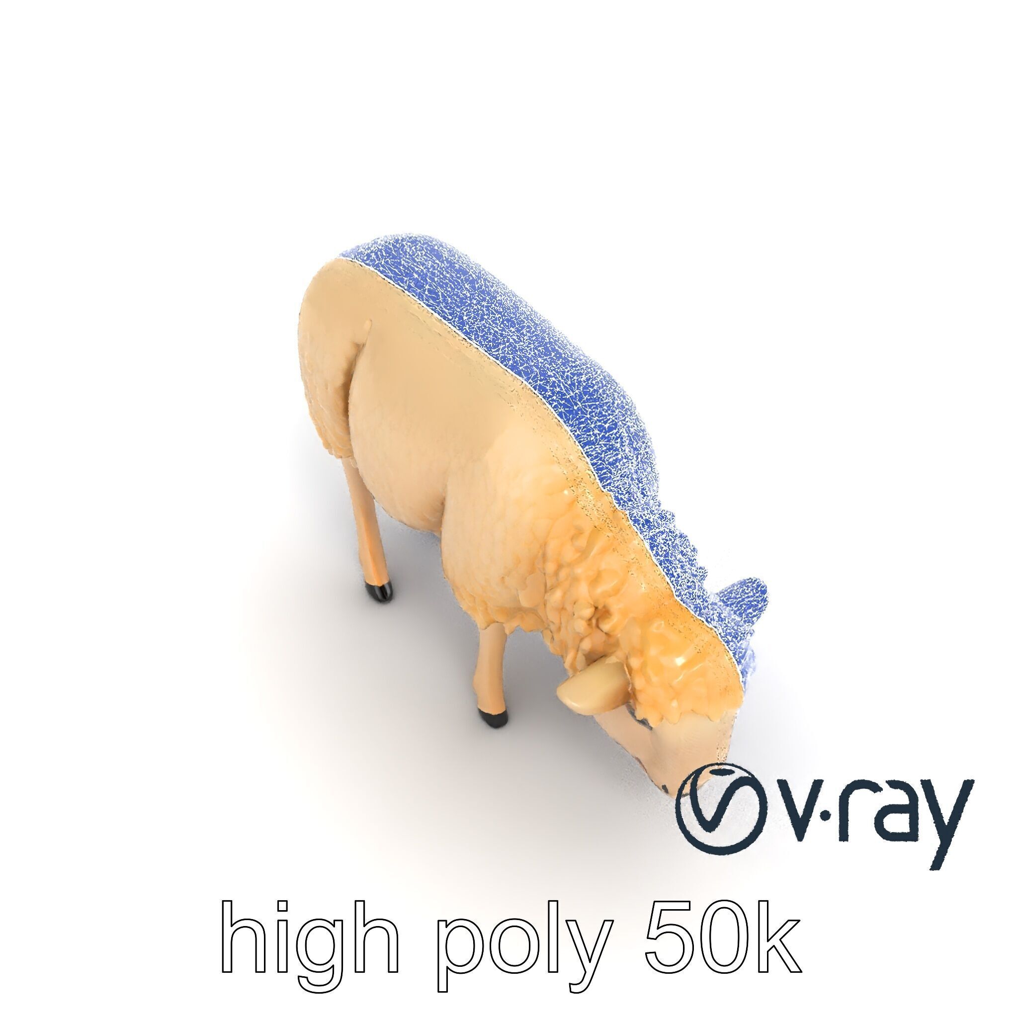 Pastoral Sheep Grazing Stance 3D Model Pack Low-poly 3D model_17