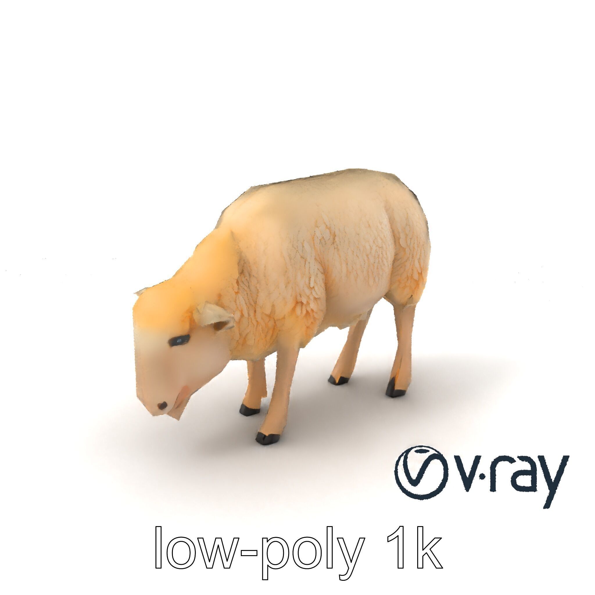 Pastoral Sheep Grazing Stance 3D Model Pack Low-poly 3D model_2
