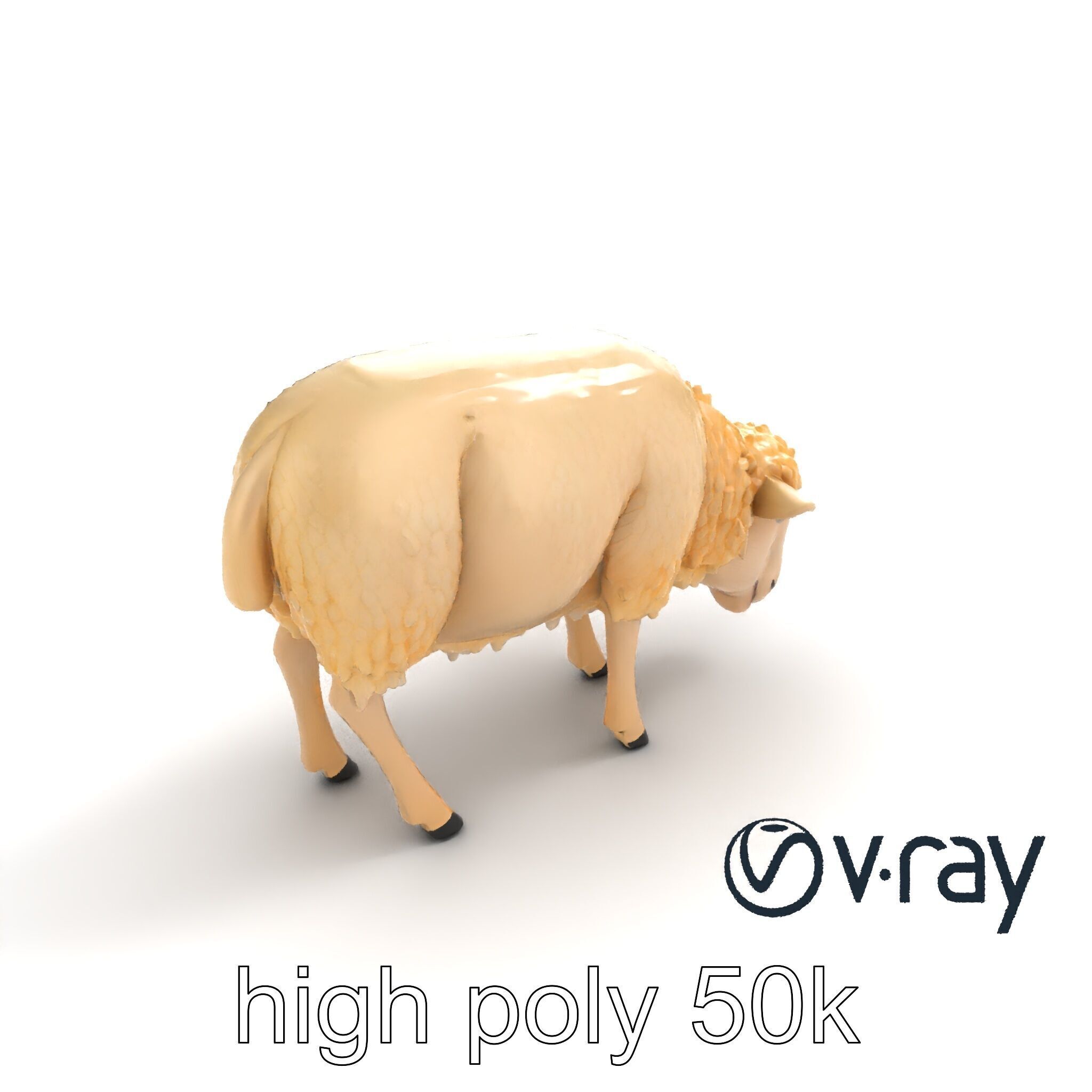 Pastoral Sheep Grazing Stance 3D Model Pack Low-poly 3D model_16
