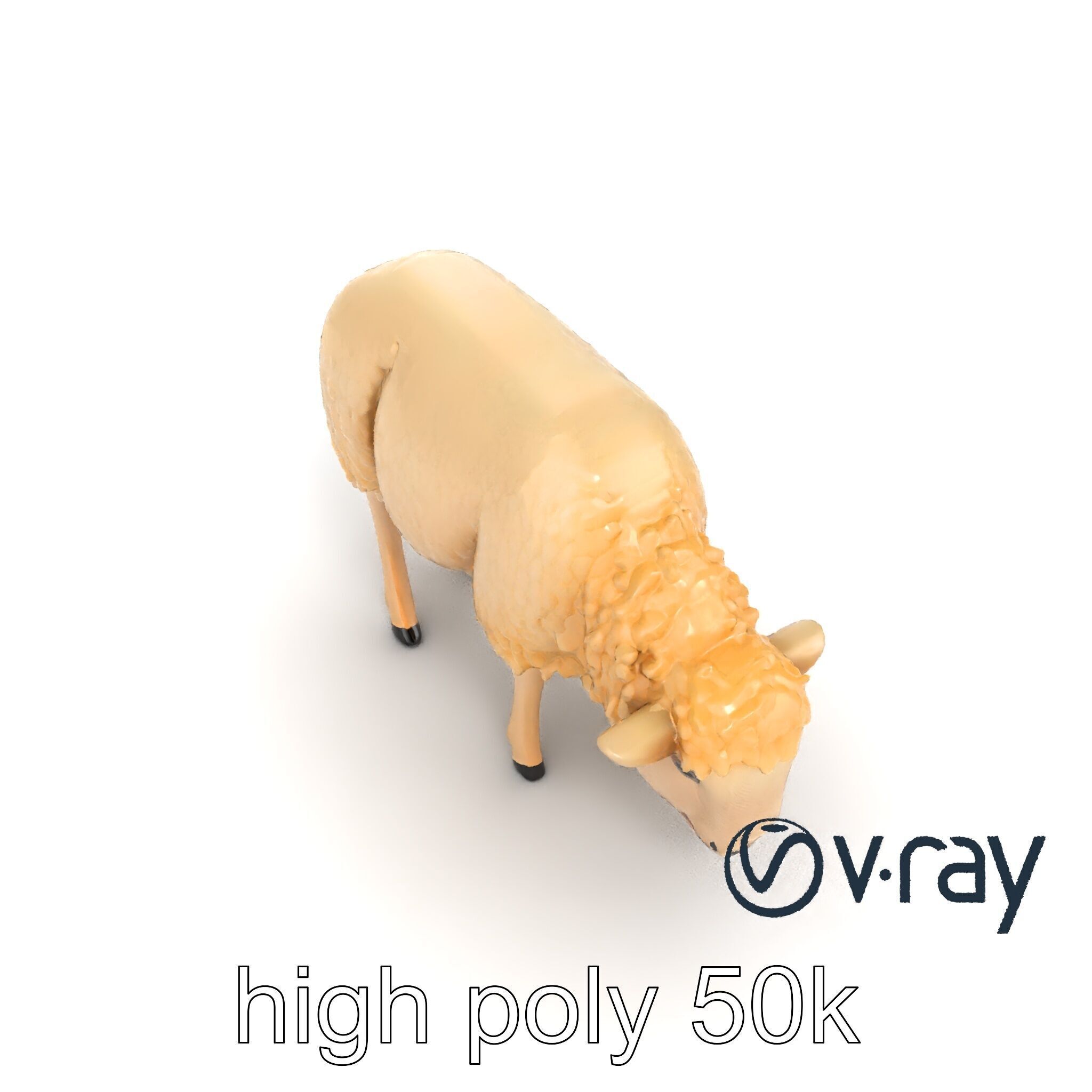 Pastoral Sheep Grazing Stance 3D Model Pack Low-poly 3D model_24