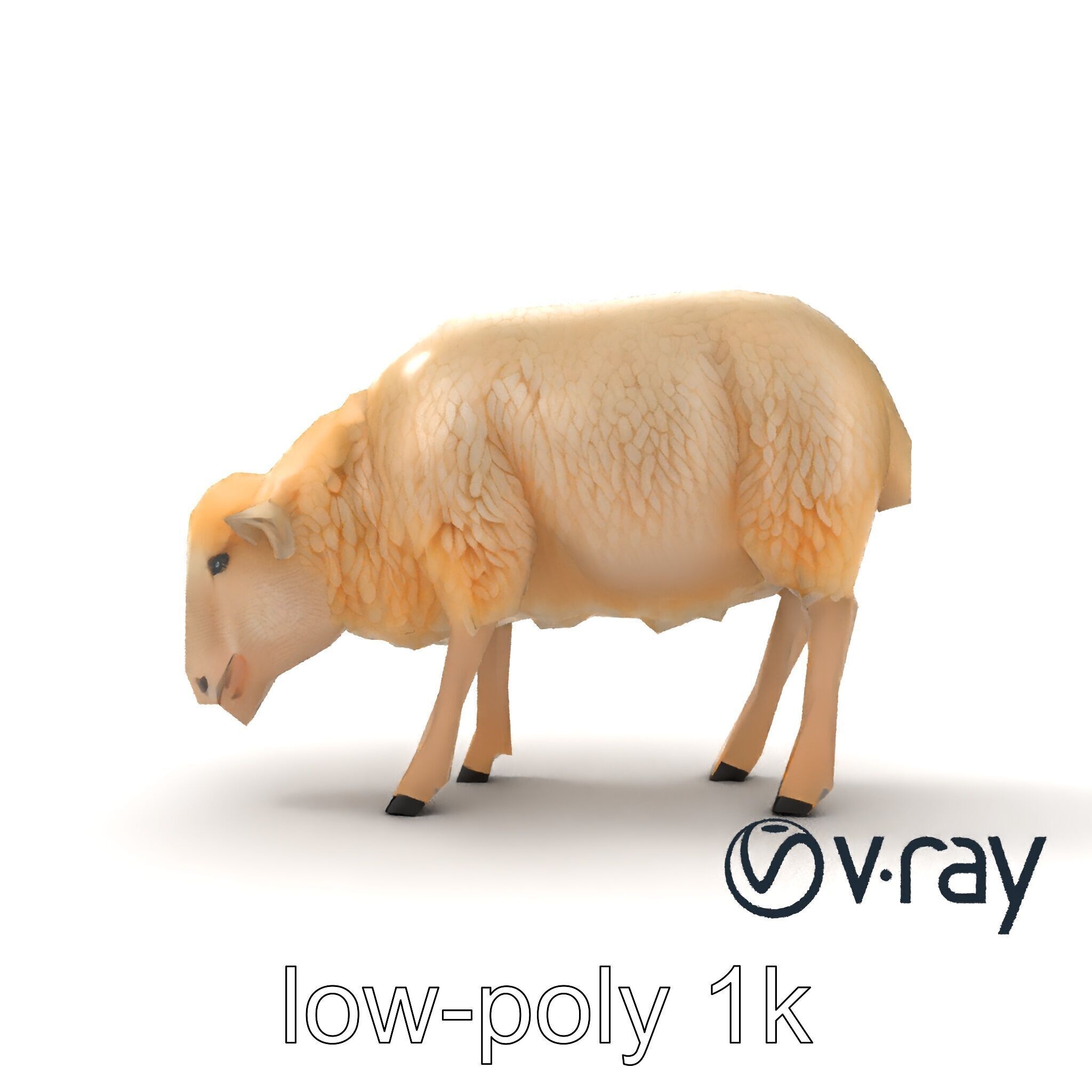 Pastoral Sheep Grazing Stance 3D Model Pack Low-poly 3D model_15