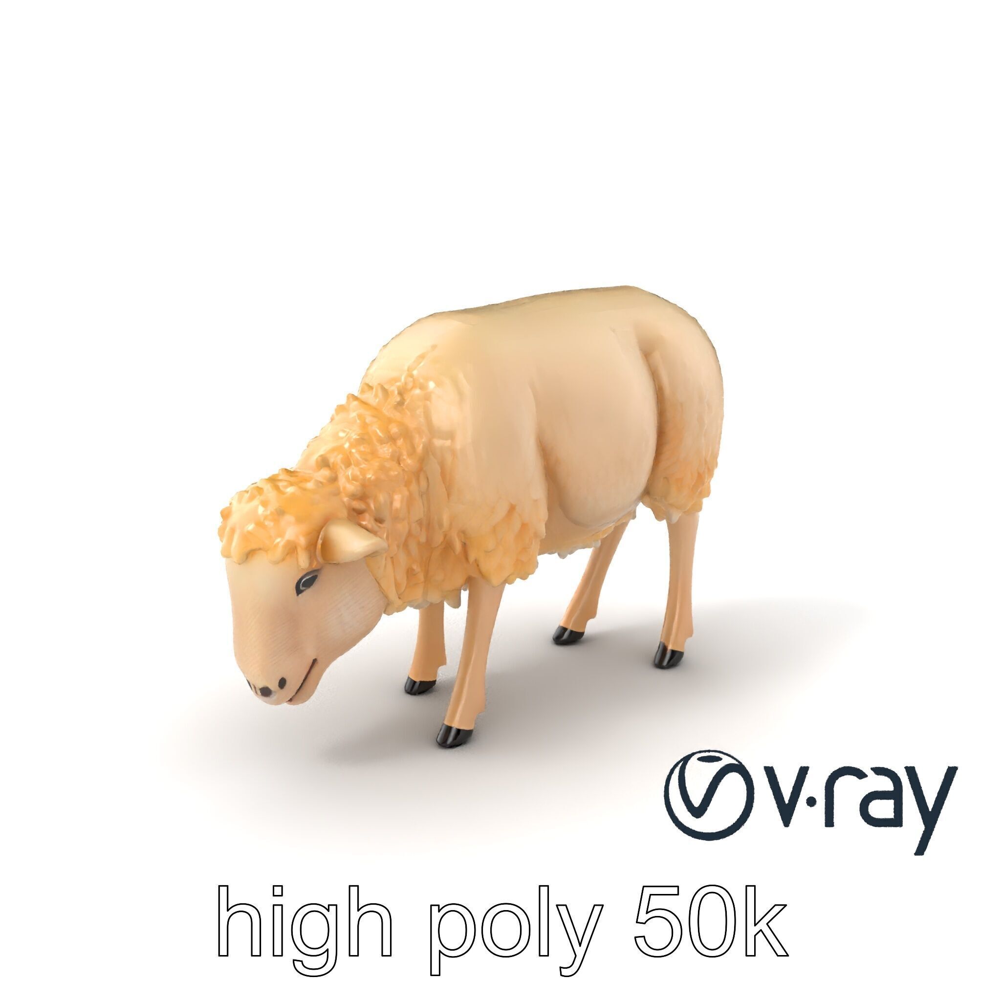 Pastoral Sheep Grazing Stance 3D Model Pack Low-poly 3D model_6