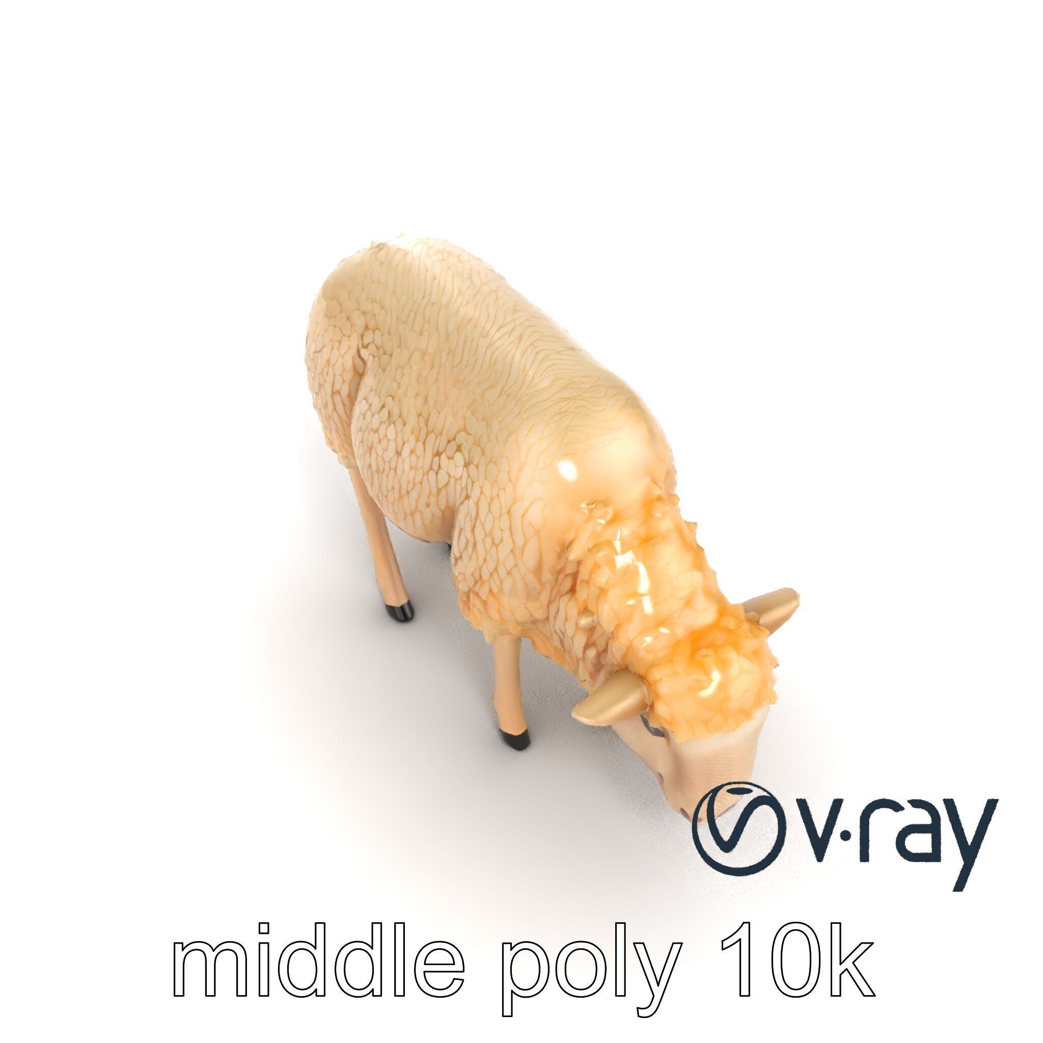 Pastoral Sheep Grazing Stance 3D Model Pack Low-poly 3D model_7