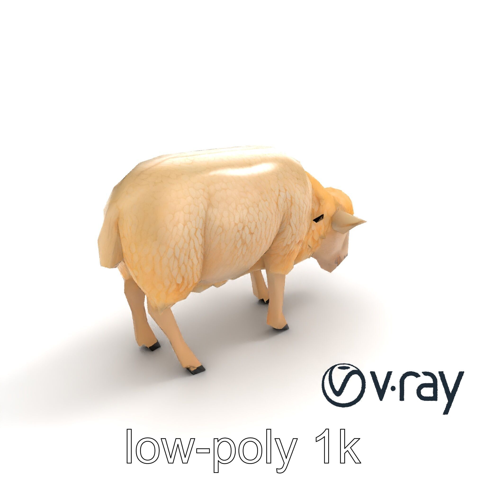 Pastoral Sheep Grazing Stance 3D Model Pack Low-poly 3D model_8