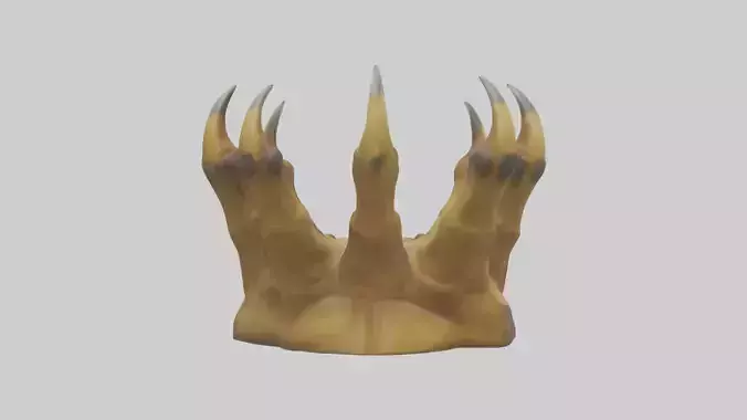 Lion Claws Model Low-poly 3D model