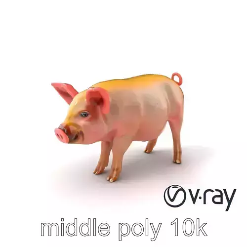 Realistic Pig Model Pack with Natural Texture Low-poly 3D model