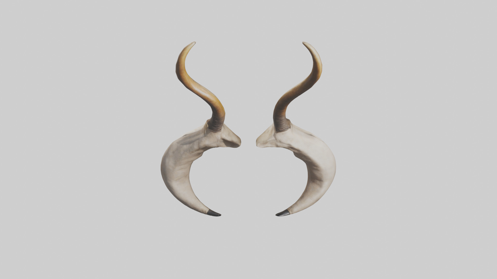 Lion Horns Low-poly 3D model_16
