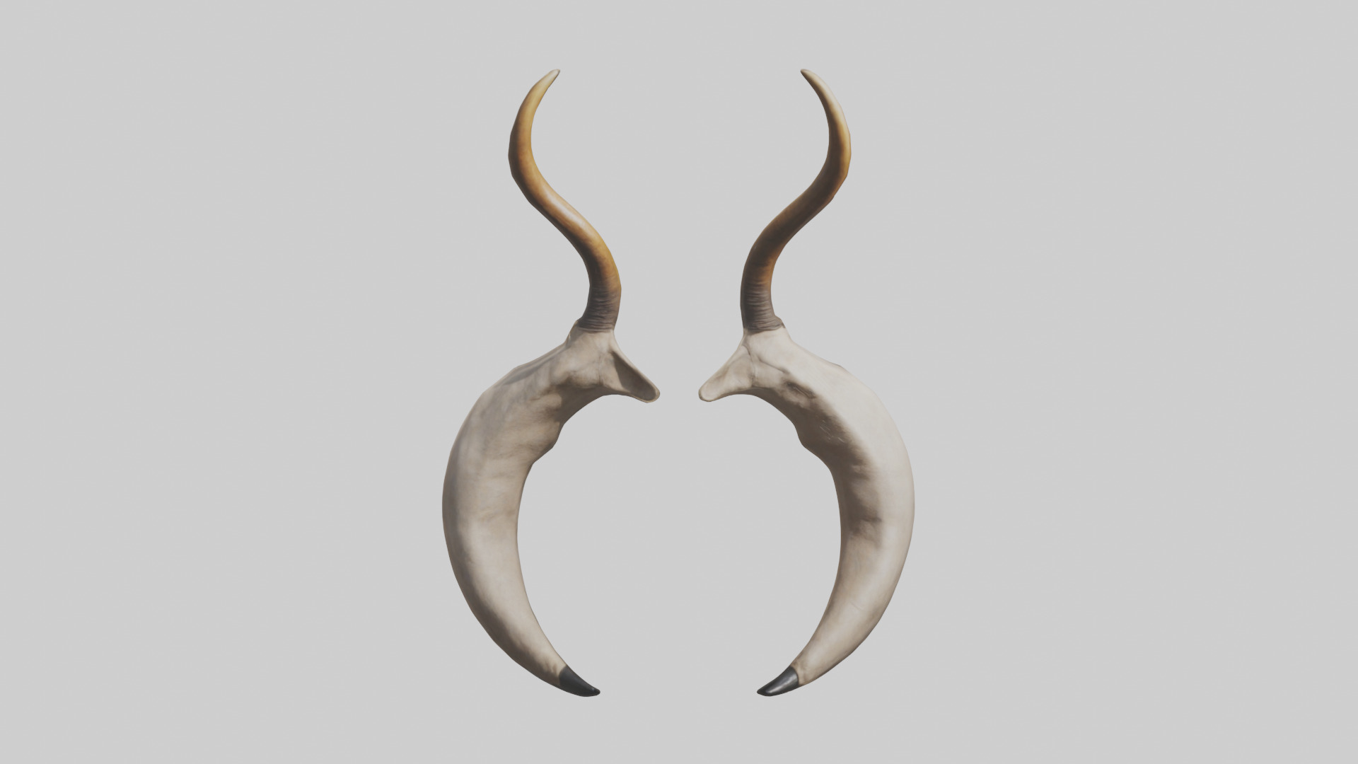 Lion Horns Low-poly 3D model_9