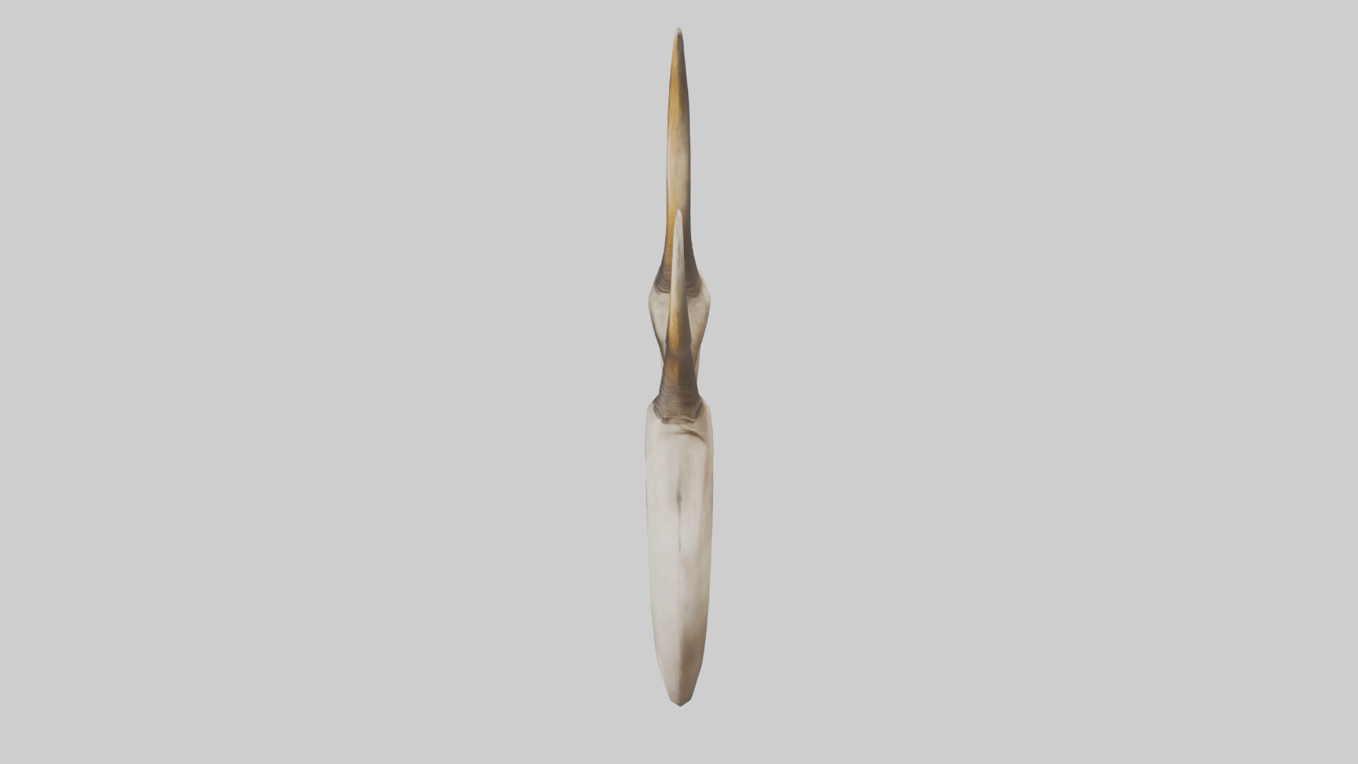 Lion Horns Low-poly 3D model_17