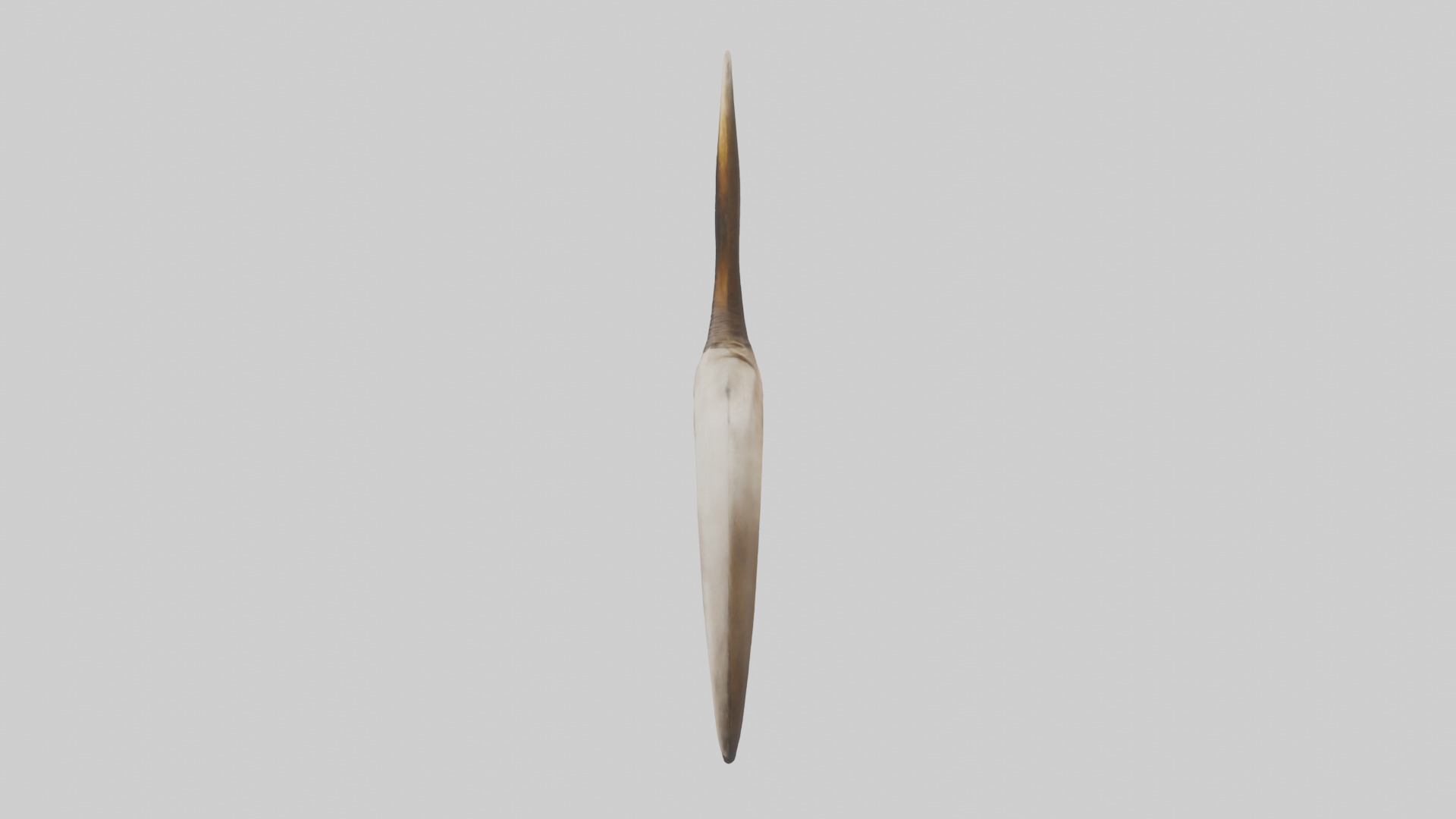 Lion Horns Low-poly 3D model_12