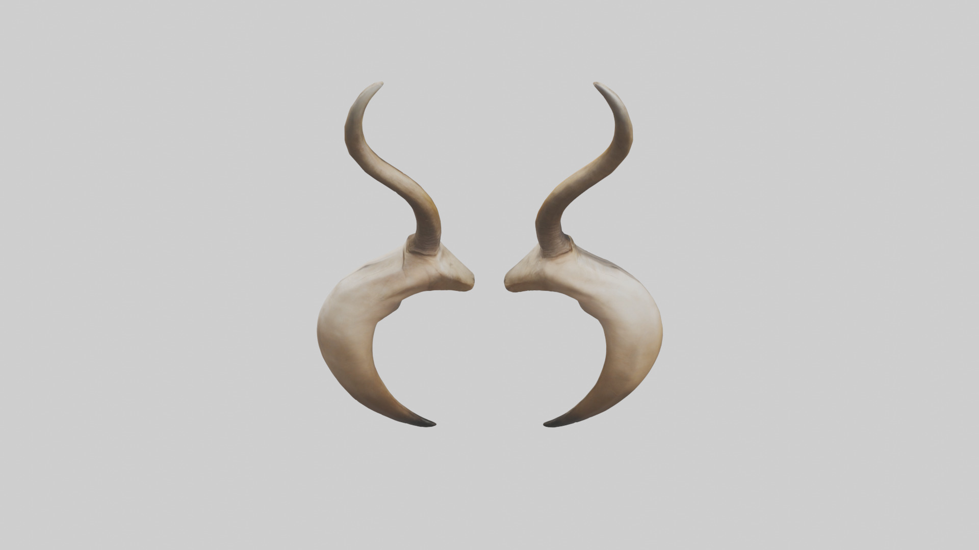 Lion Horns Low-poly 3D model_15