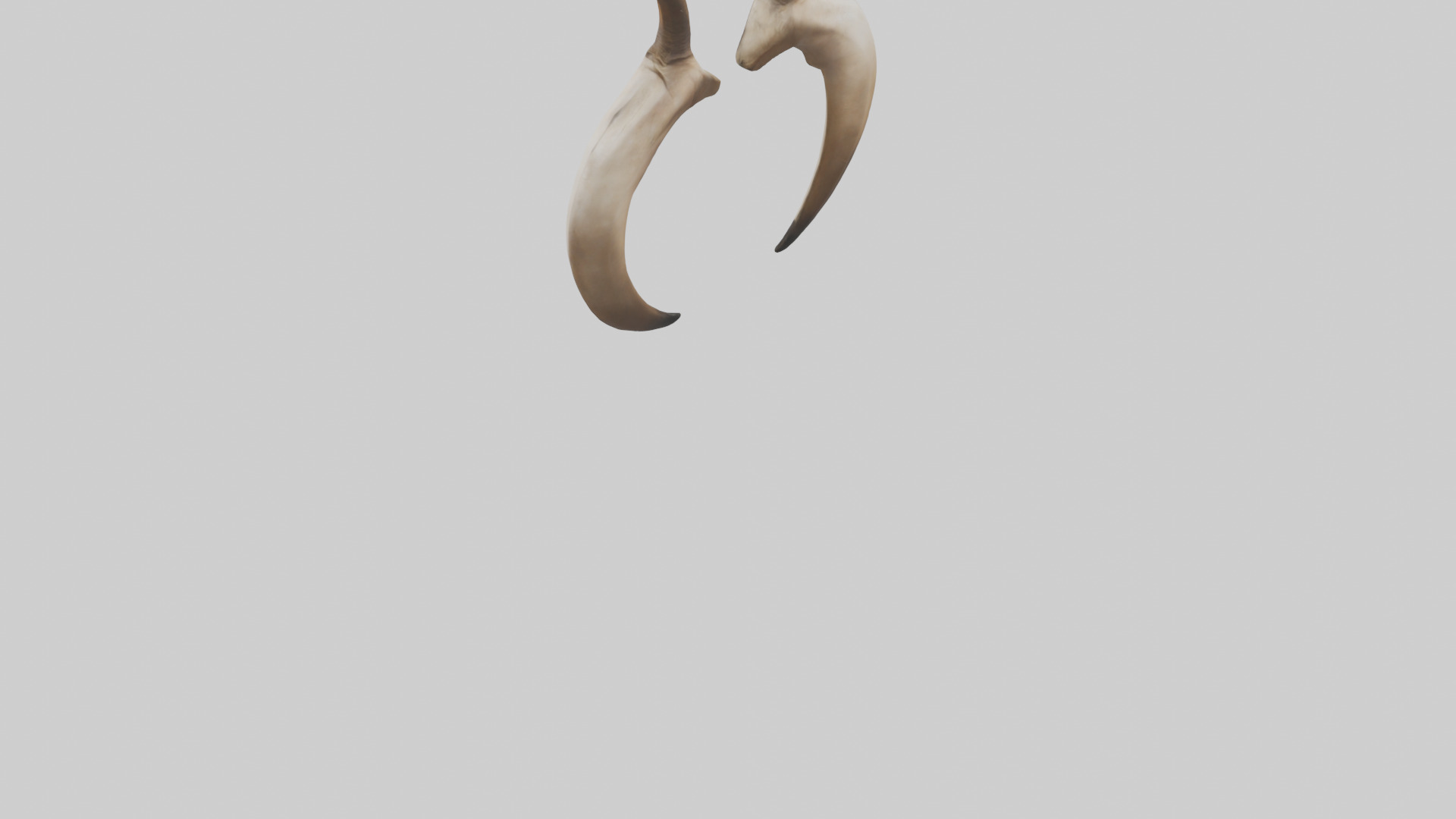 Lion Horns Low-poly 3D model_3