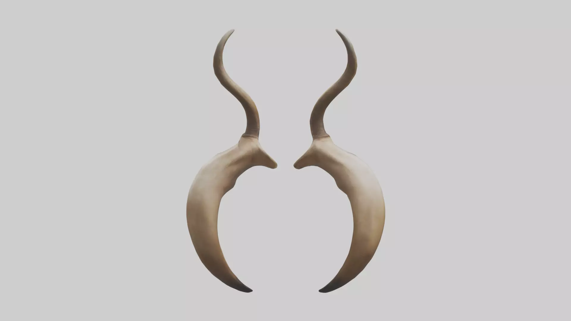 Lion Horns Low-poly 3D model_0
