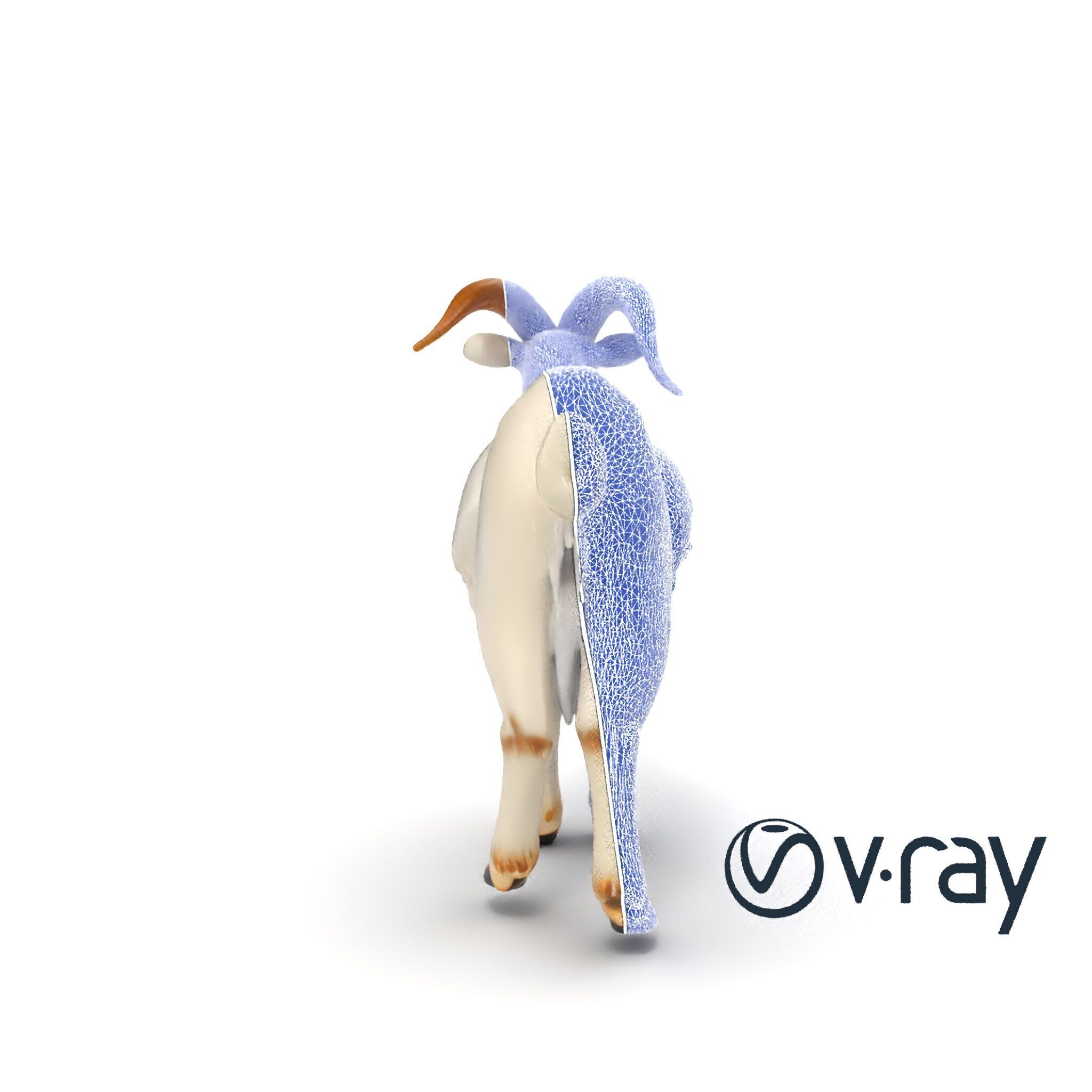 Curved Horn Goat White Coat model pack Low-poly 3D model_25