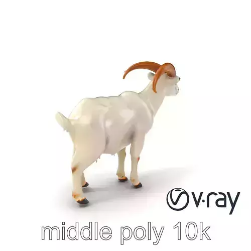 Curved Horn Goat White Coat model pack
