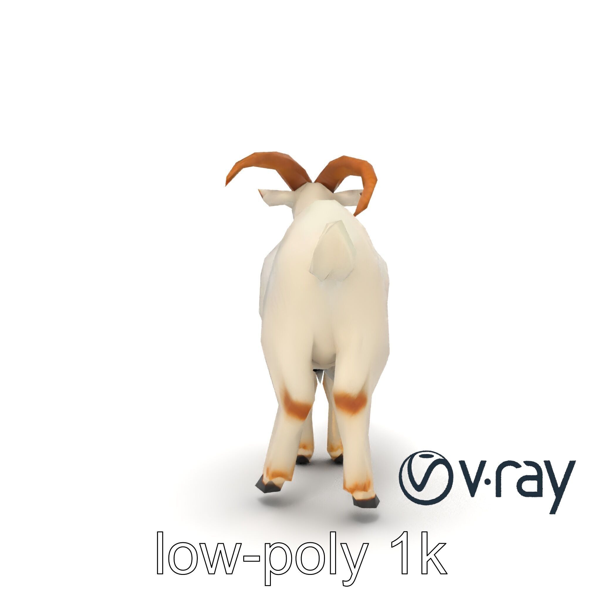 Curved Horn Goat White Coat model pack Low-poly 3D model_21