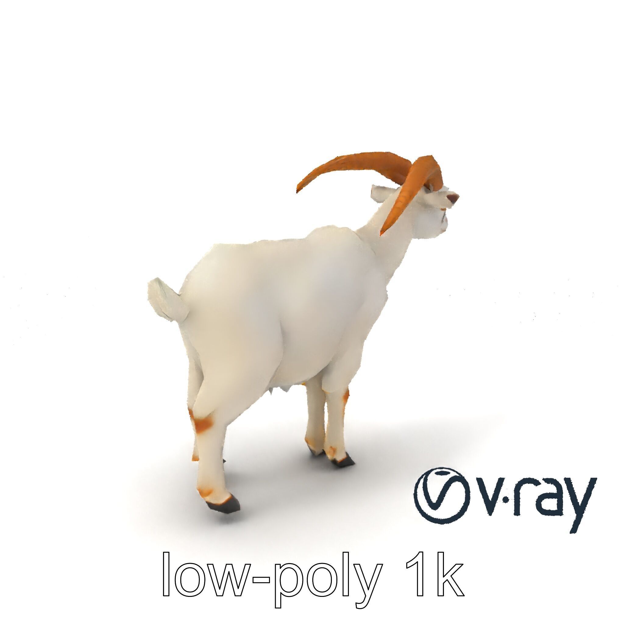 Curved Horn Goat White Coat model pack Low-poly 3D model_2