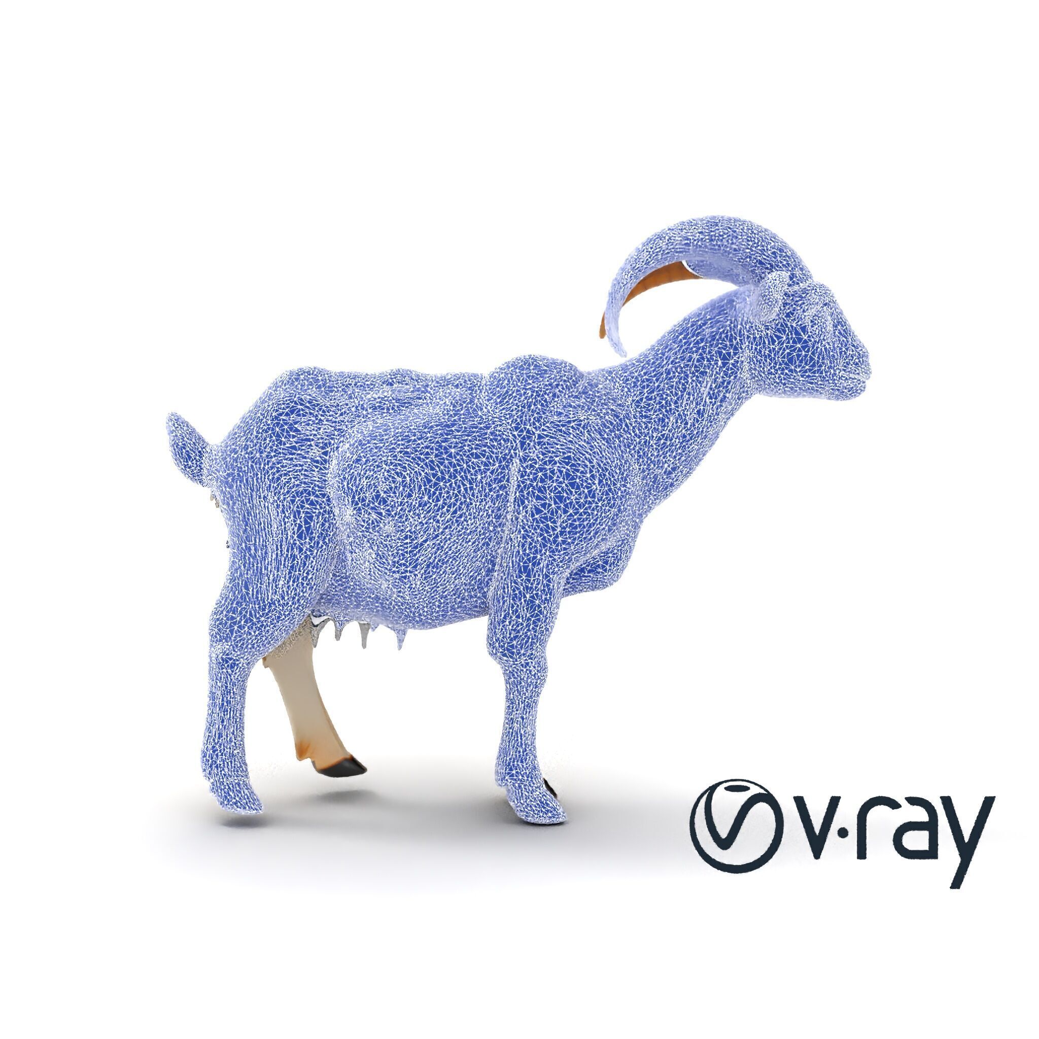 Curved Horn Goat White Coat model pack Low-poly 3D model_28