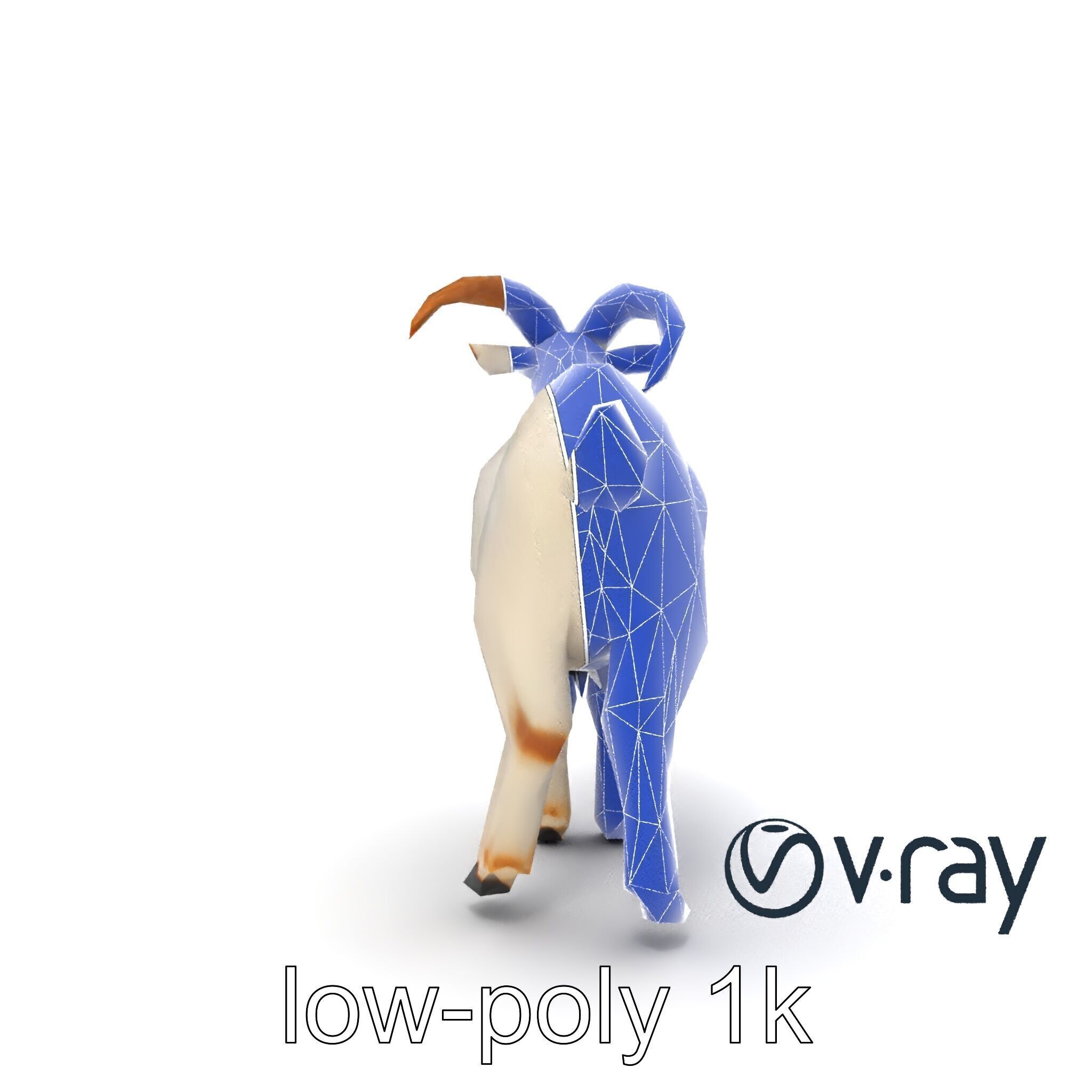 Curved Horn Goat White Coat model pack Low-poly 3D model_17