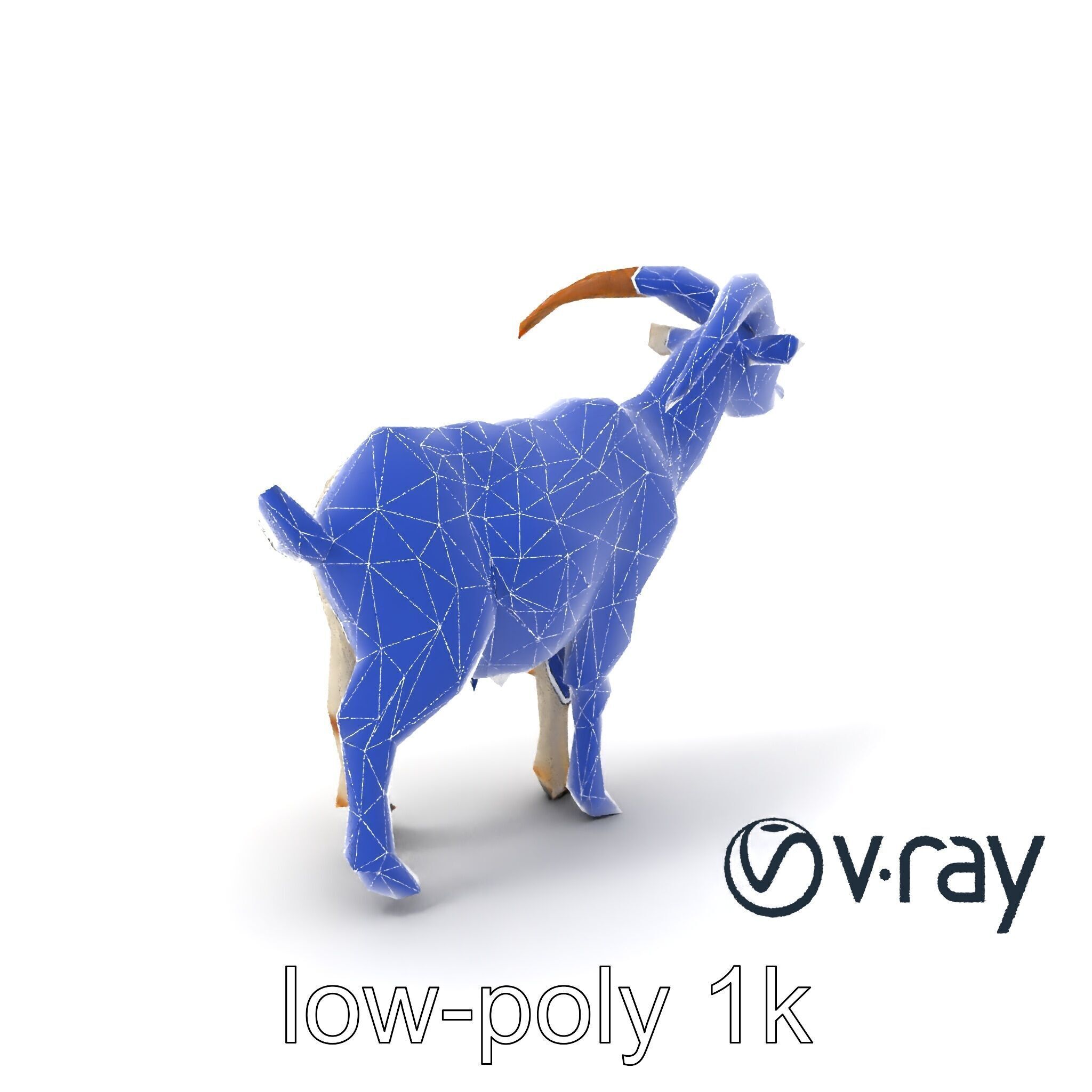 Curved Horn Goat White Coat model pack Low-poly 3D model_5