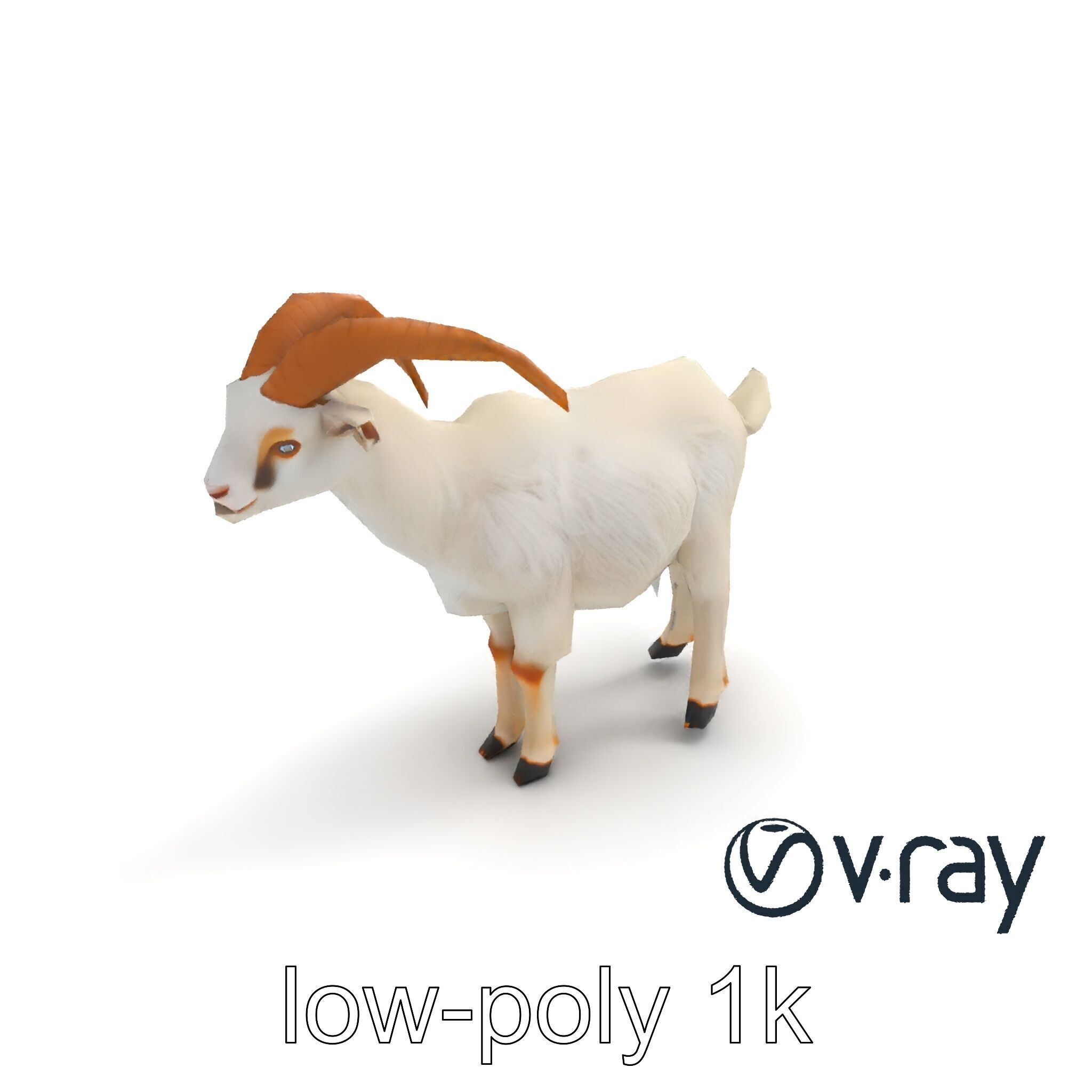 Curved Horn Goat White Coat model pack Low-poly 3D model_8