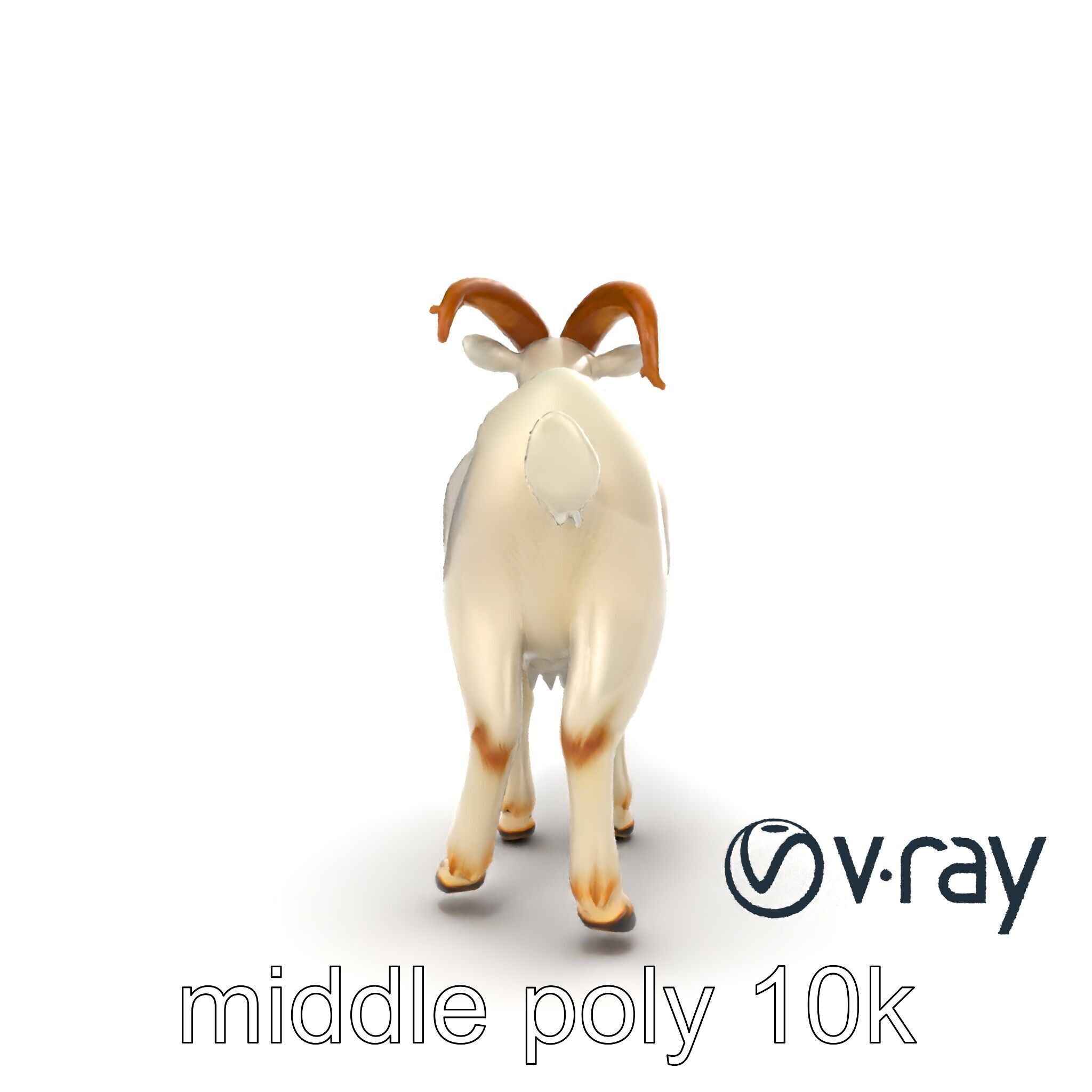 Curved Horn Goat White Coat model pack Low-poly 3D model_16