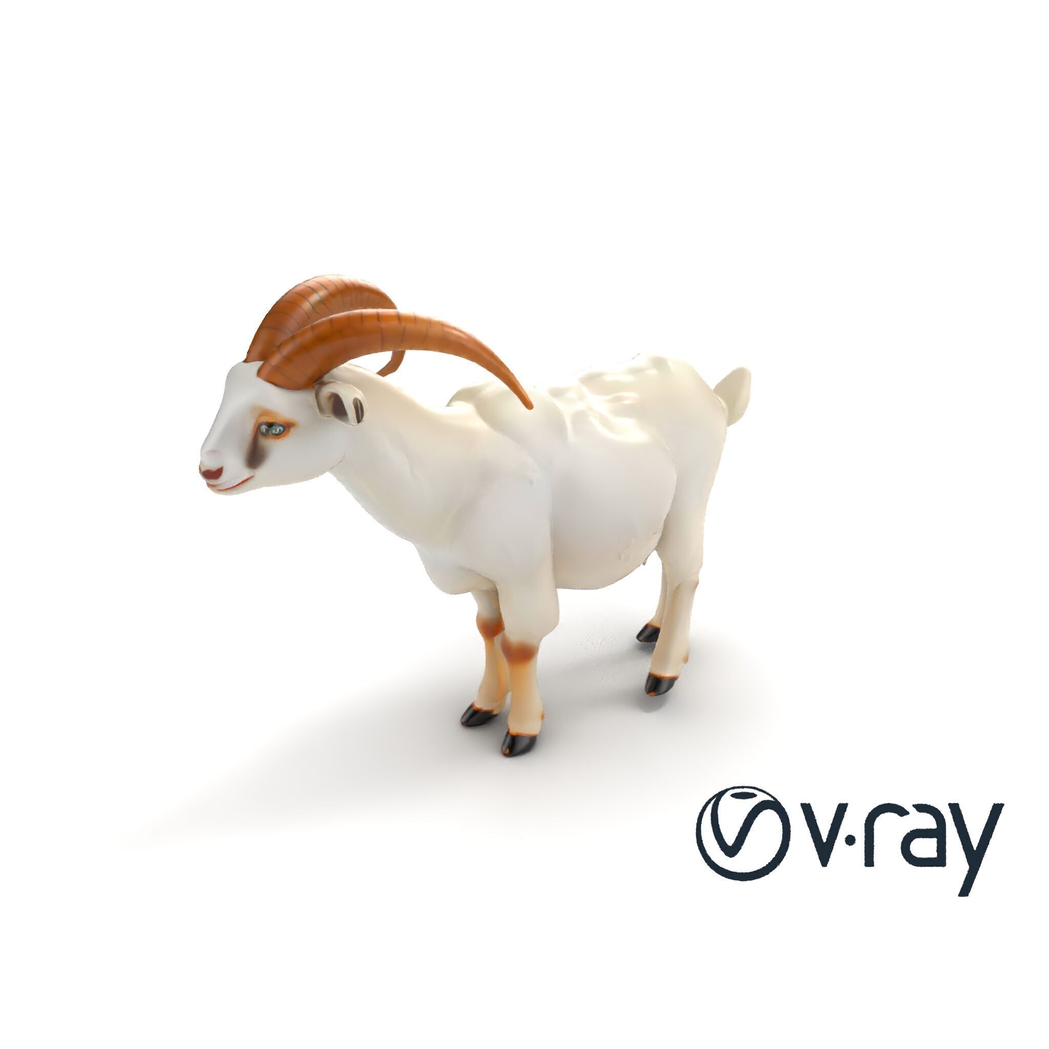 Curved Horn Goat White Coat model pack Low-poly 3D model_9