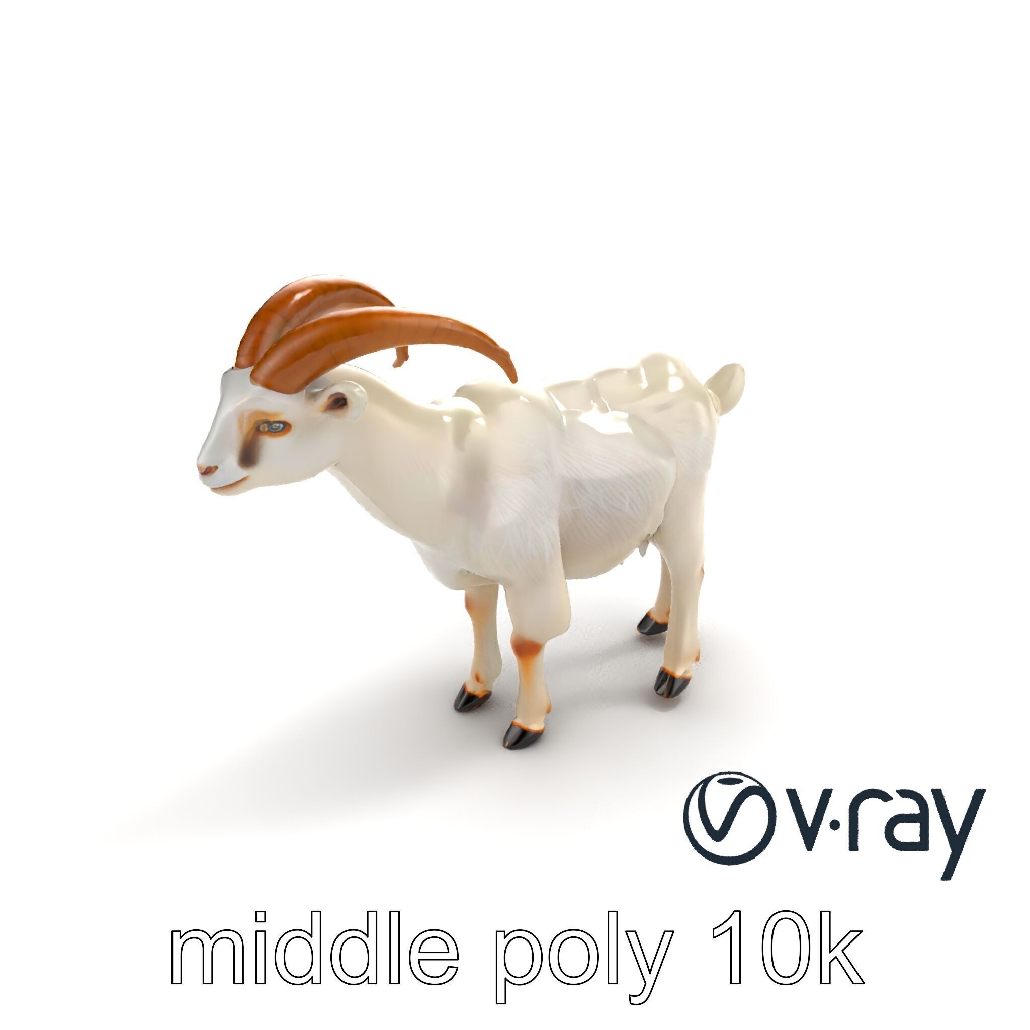 Curved Horn Goat White Coat model pack Low-poly 3D model_4