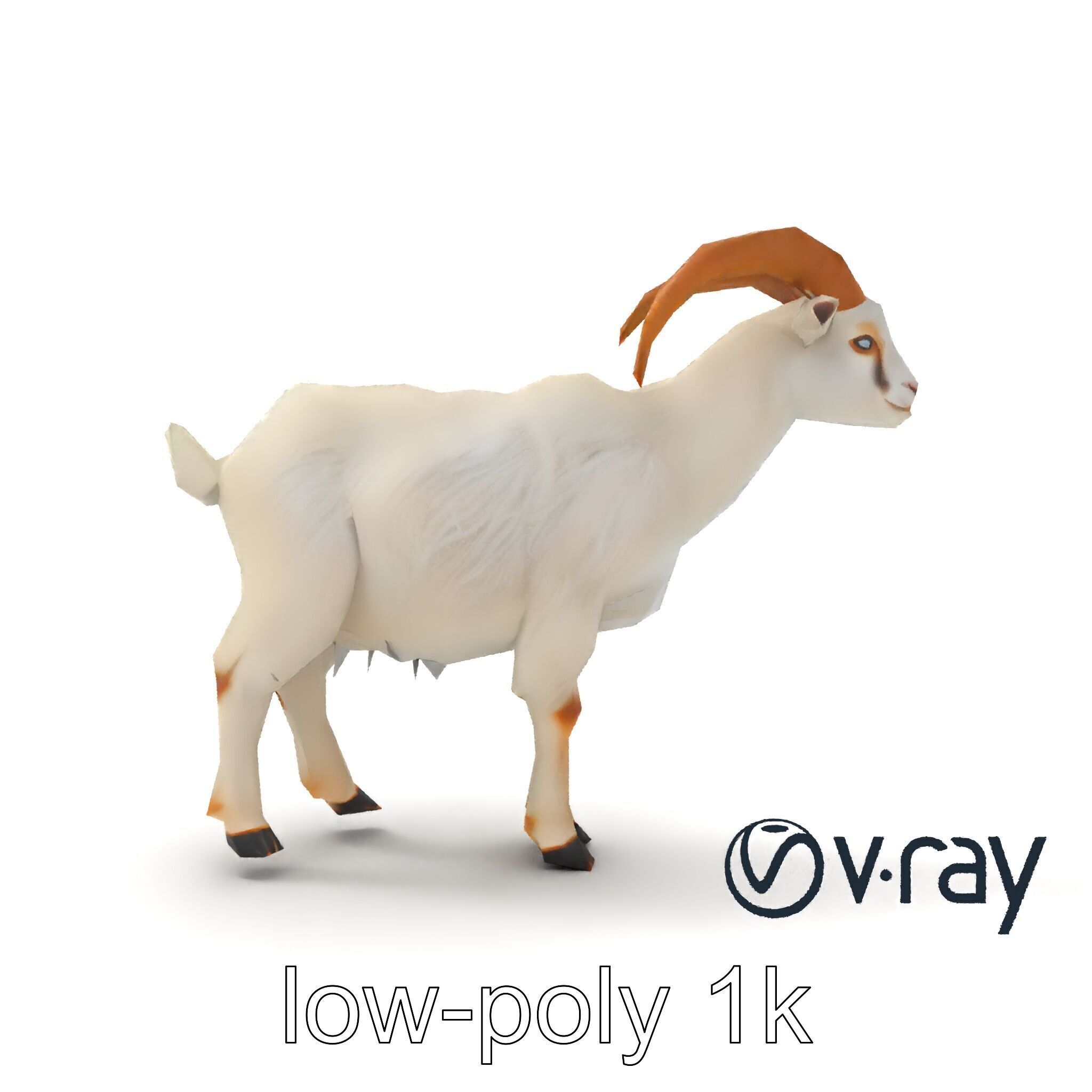 Curved Horn Goat White Coat model pack Low-poly 3D model_15