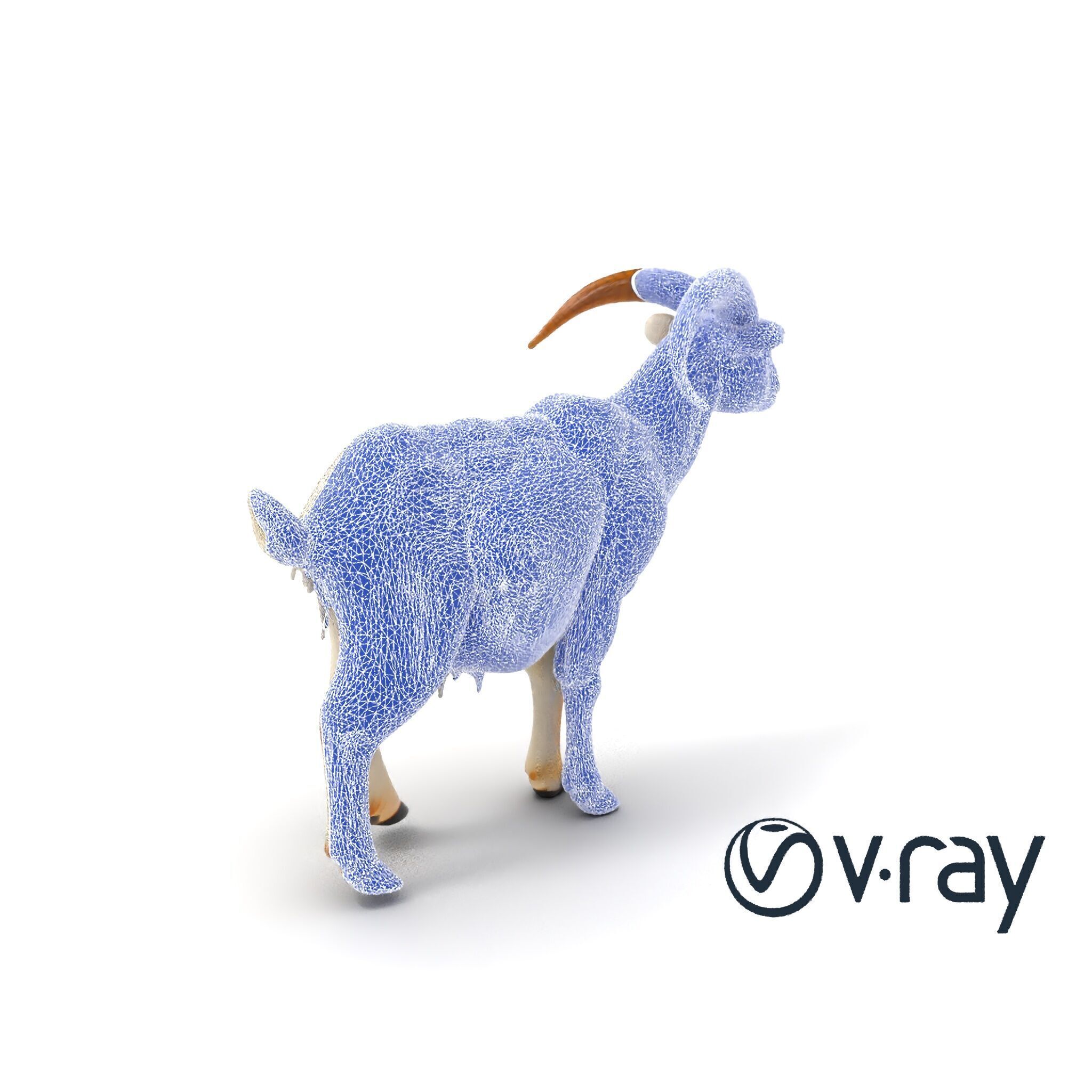 Curved Horn Goat White Coat model pack Low-poly 3D model_29